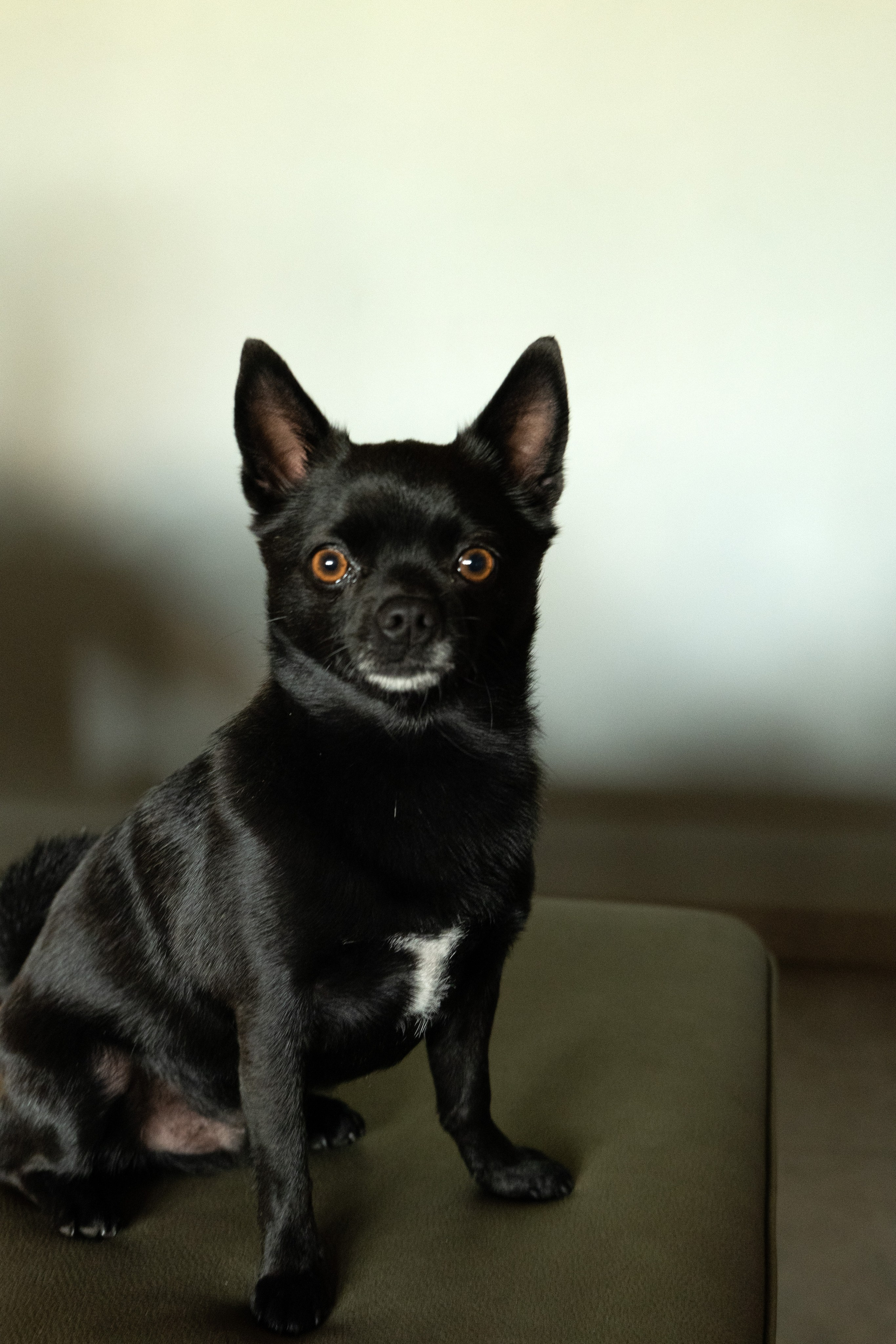 Фотосессия к 6 месяцам. Фотограф видеограф Ольга Василевская