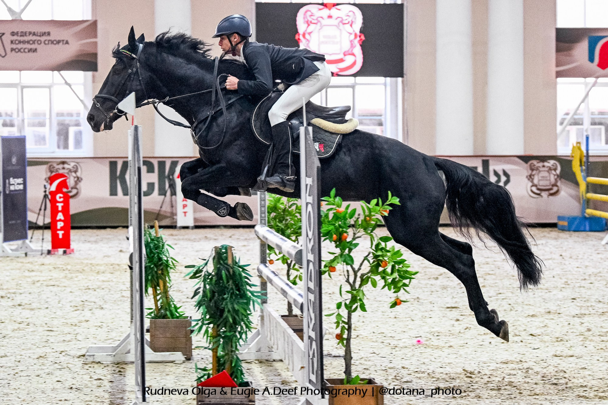 2025.11.16 — КСК Виват, Россия! — конкур, ФИНАЛ международные соревнования. ТУРНИРНАЯ КОННАЯ ФОТОГРАФИЯ, Руднева Ольга и Евгений Адеев