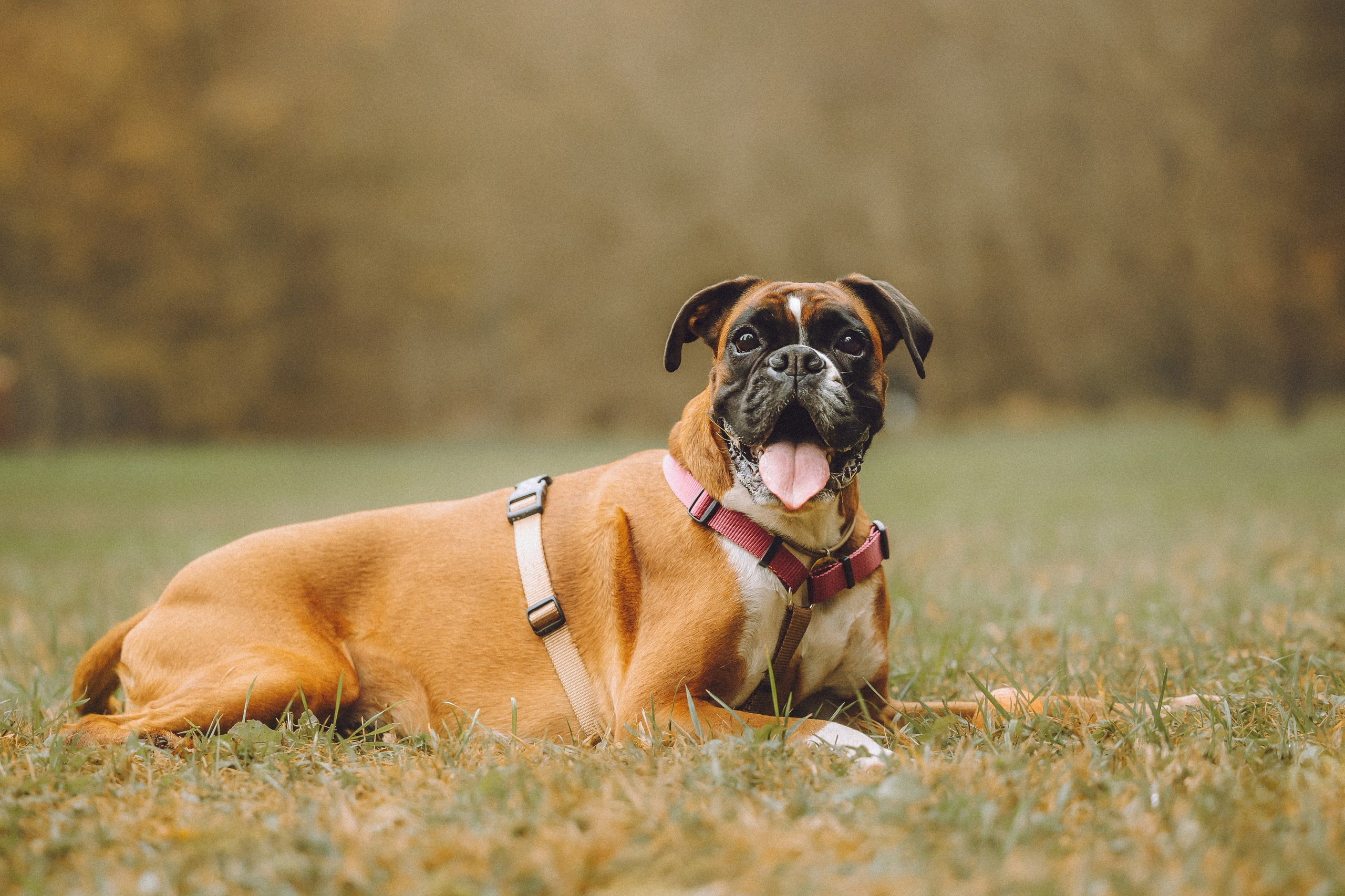 Элли и ее семья