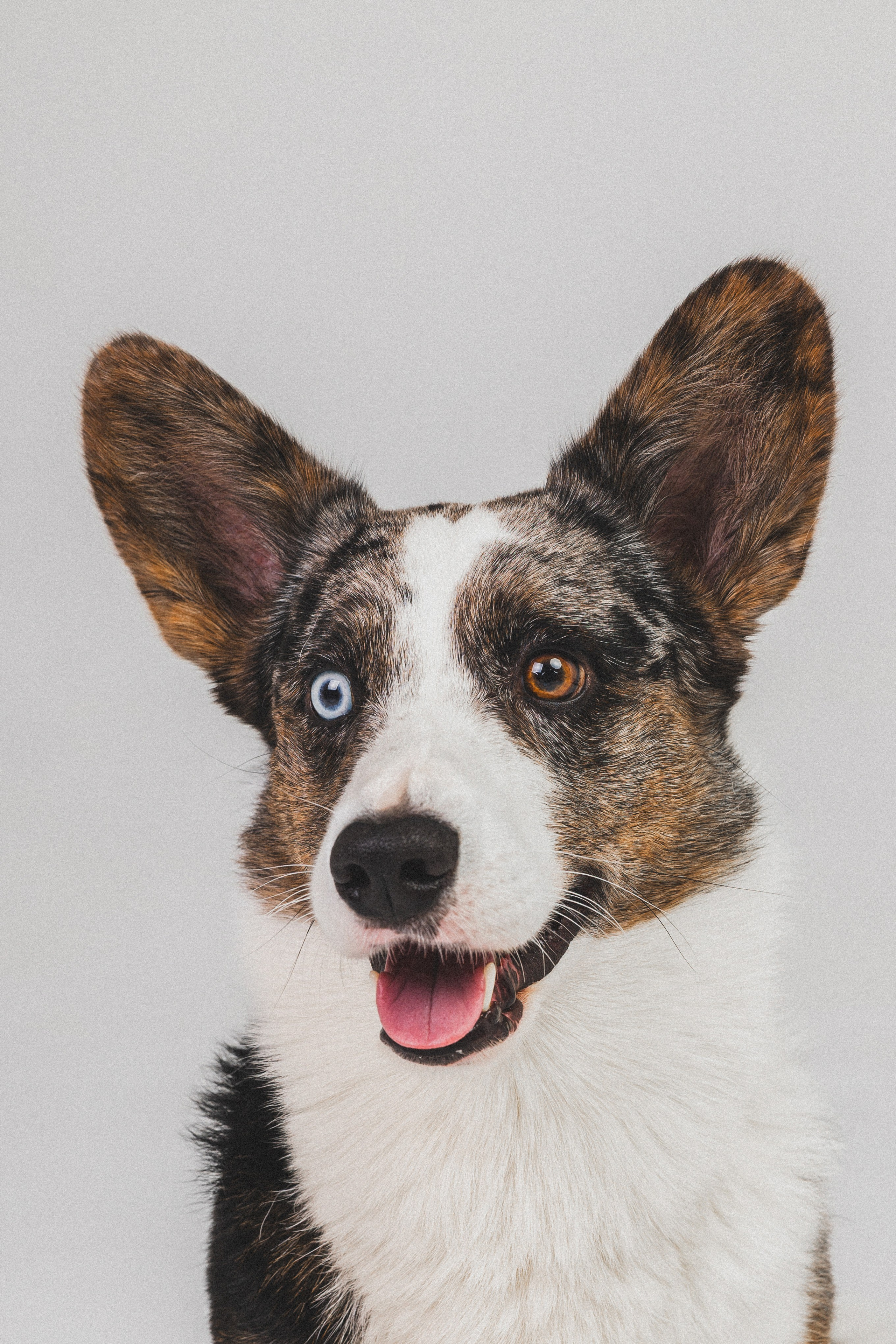 Анатолий и Рагнар