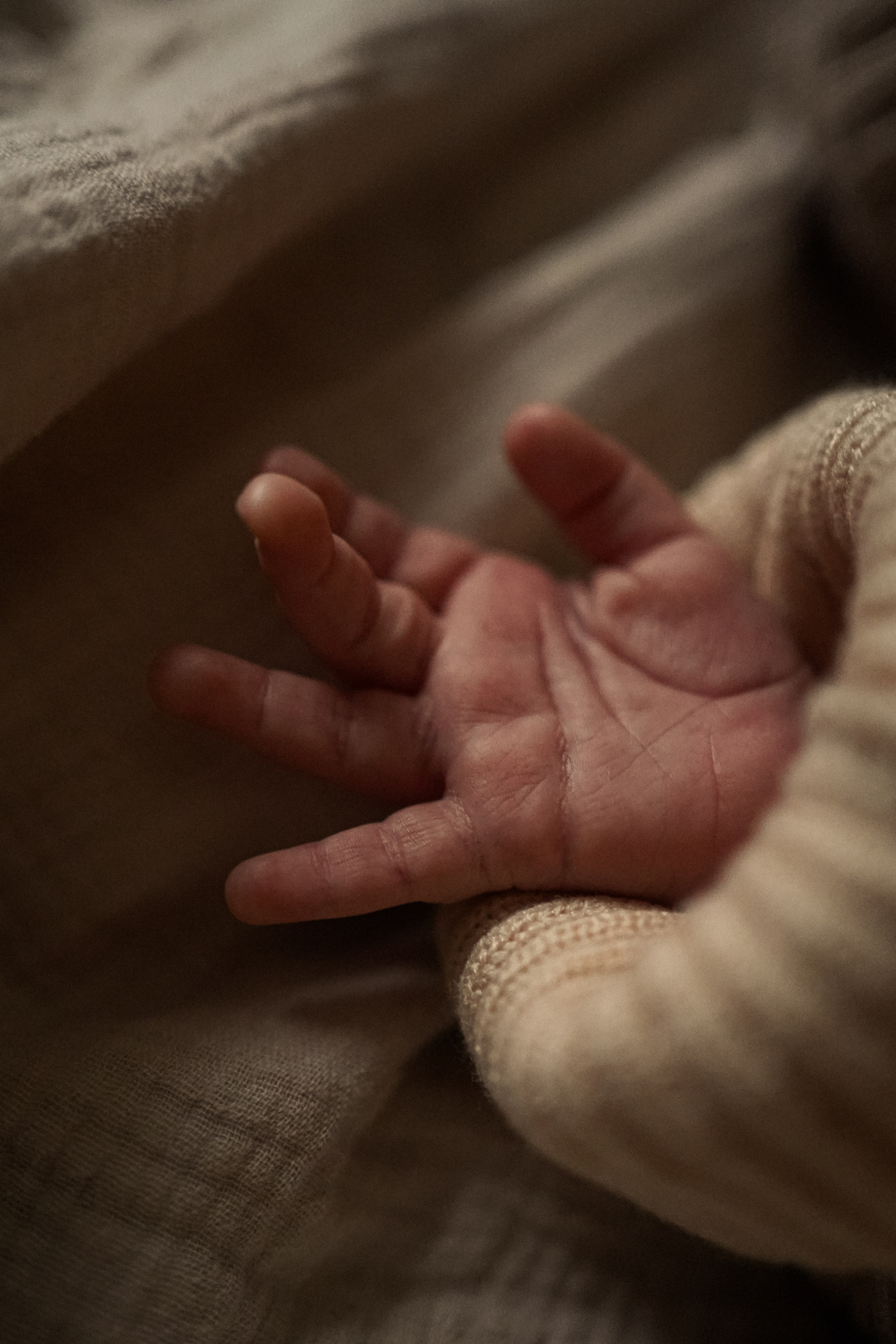 Юля и София: новогодняя история. Семейный фотограф в Северодвинске и Архангельске Наталья Проничева