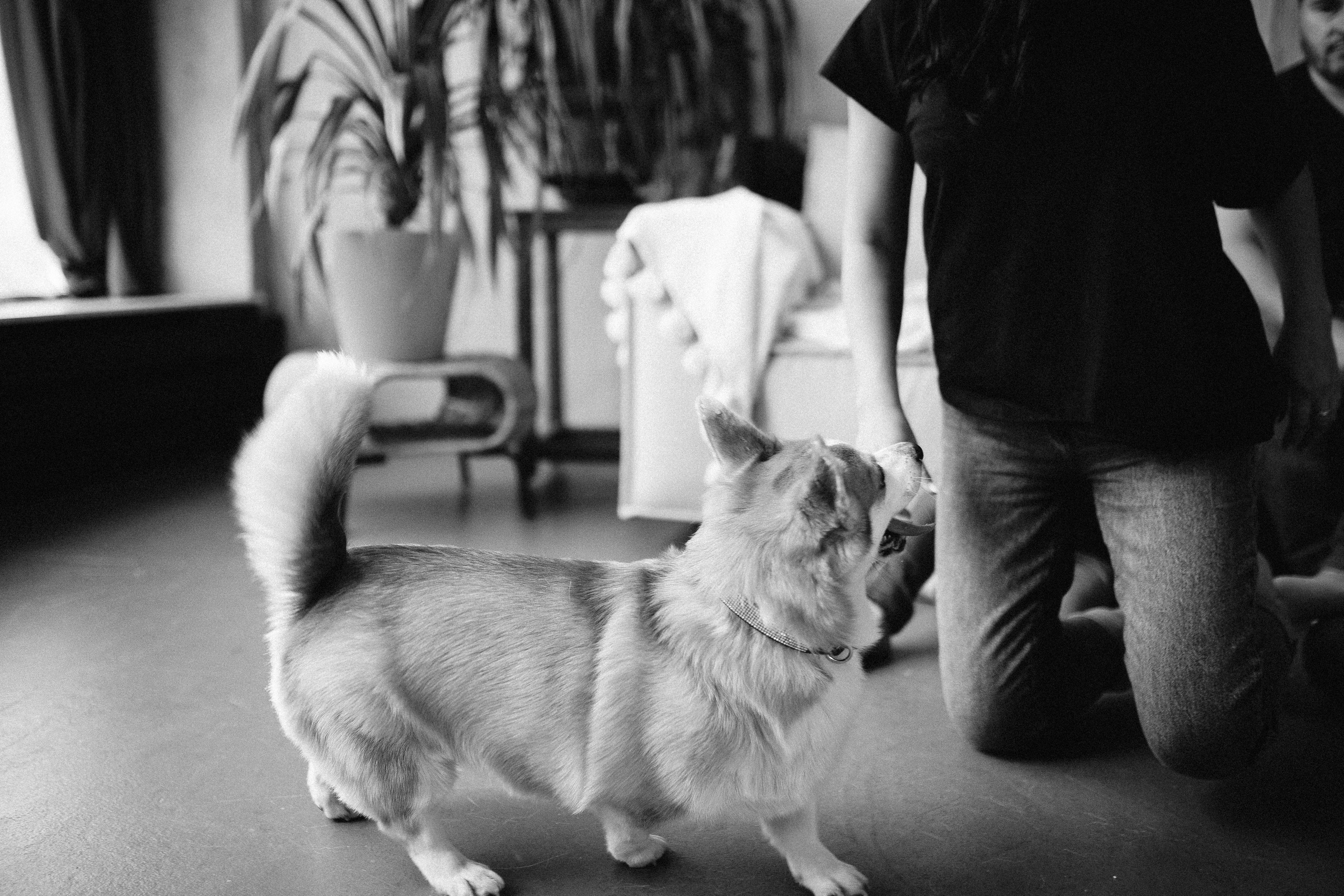 Семейная. Фотограф Тимербаева Алина г. Сургут