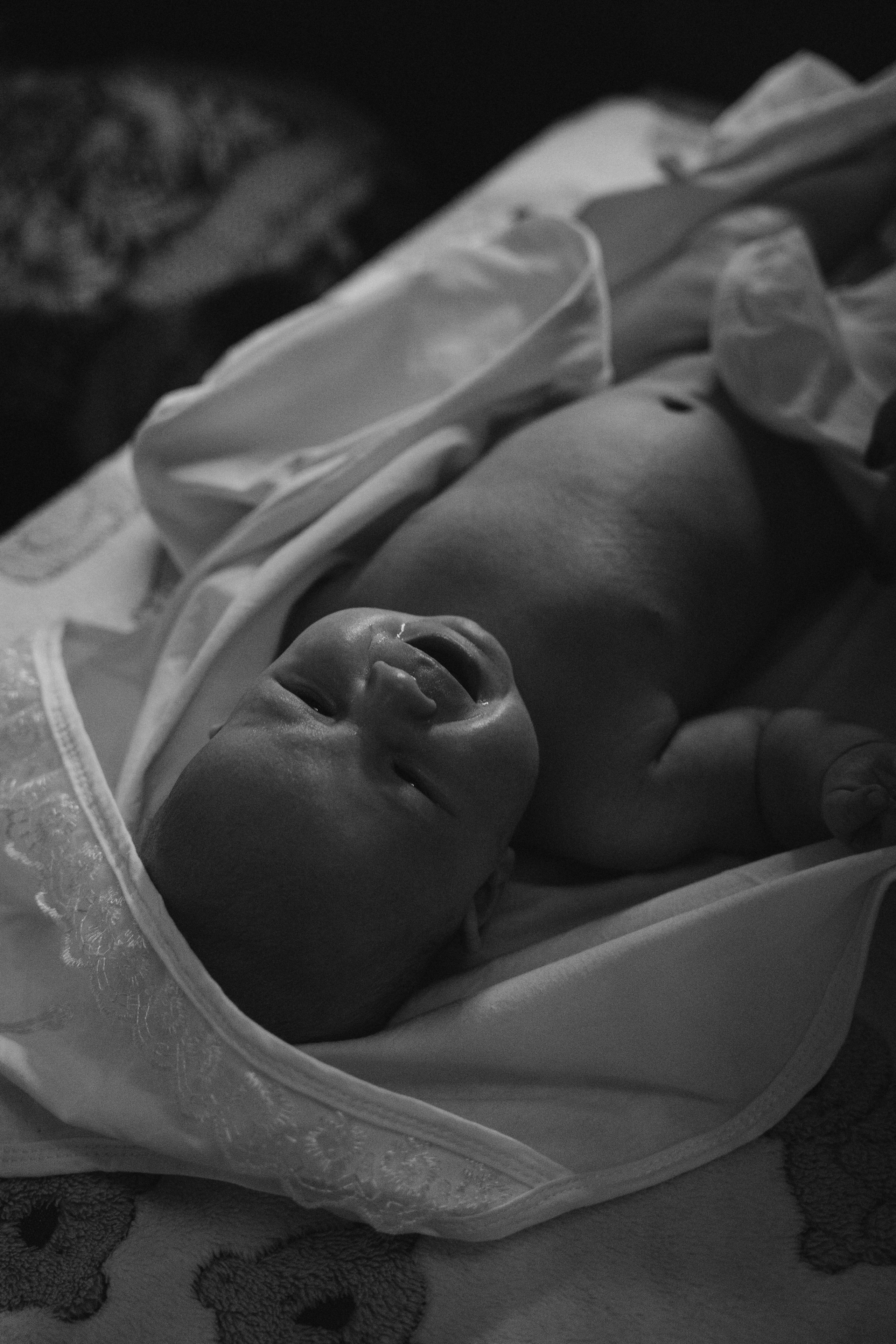 Тимофей. Аплас Анастасия