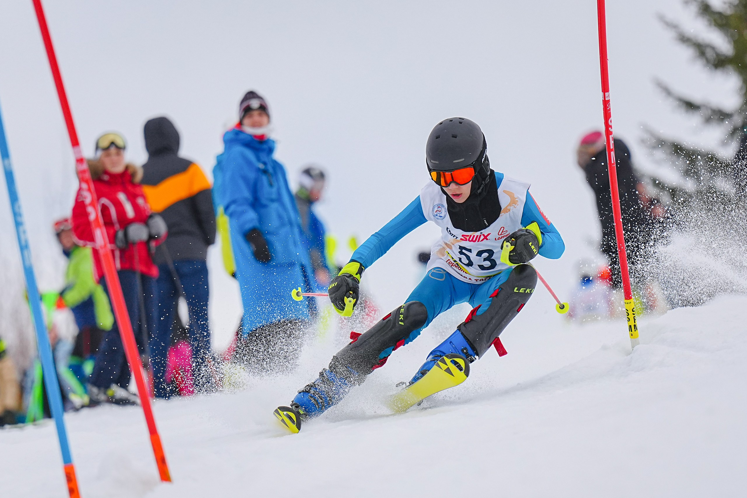 SL (Slalom) - Слалом. Соревнования по горнолыжному спорту. Московская область, Шуколово