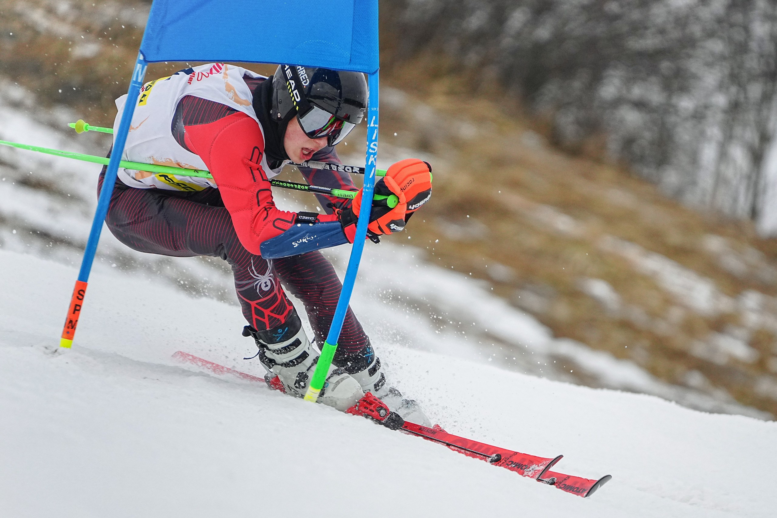 Горные лыжи. Первенство Московской области. Слалом-гигант. Шуколово