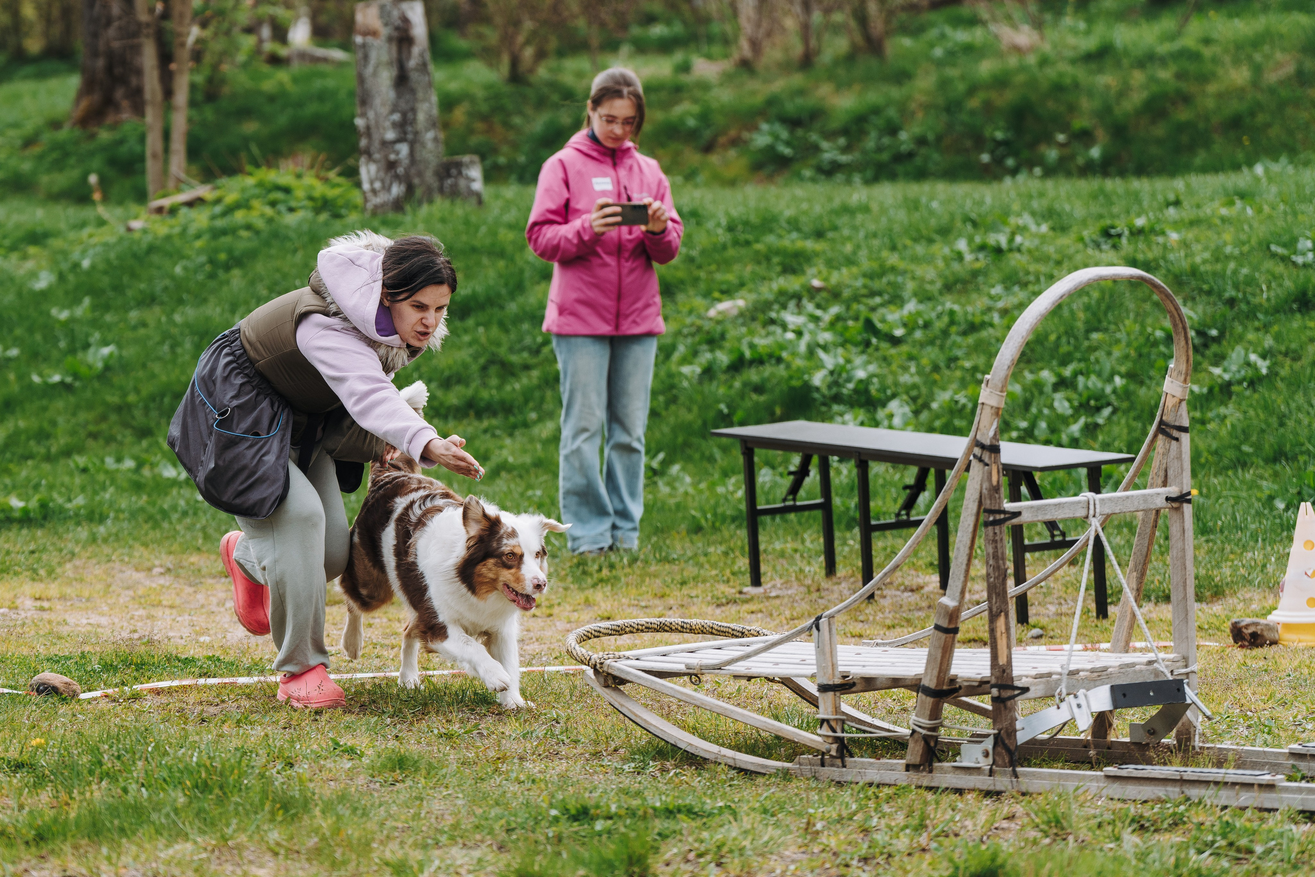 Соревнования по ноузворку в Лосево. Фотограф анималист в Спб недорого Олеся Майорова