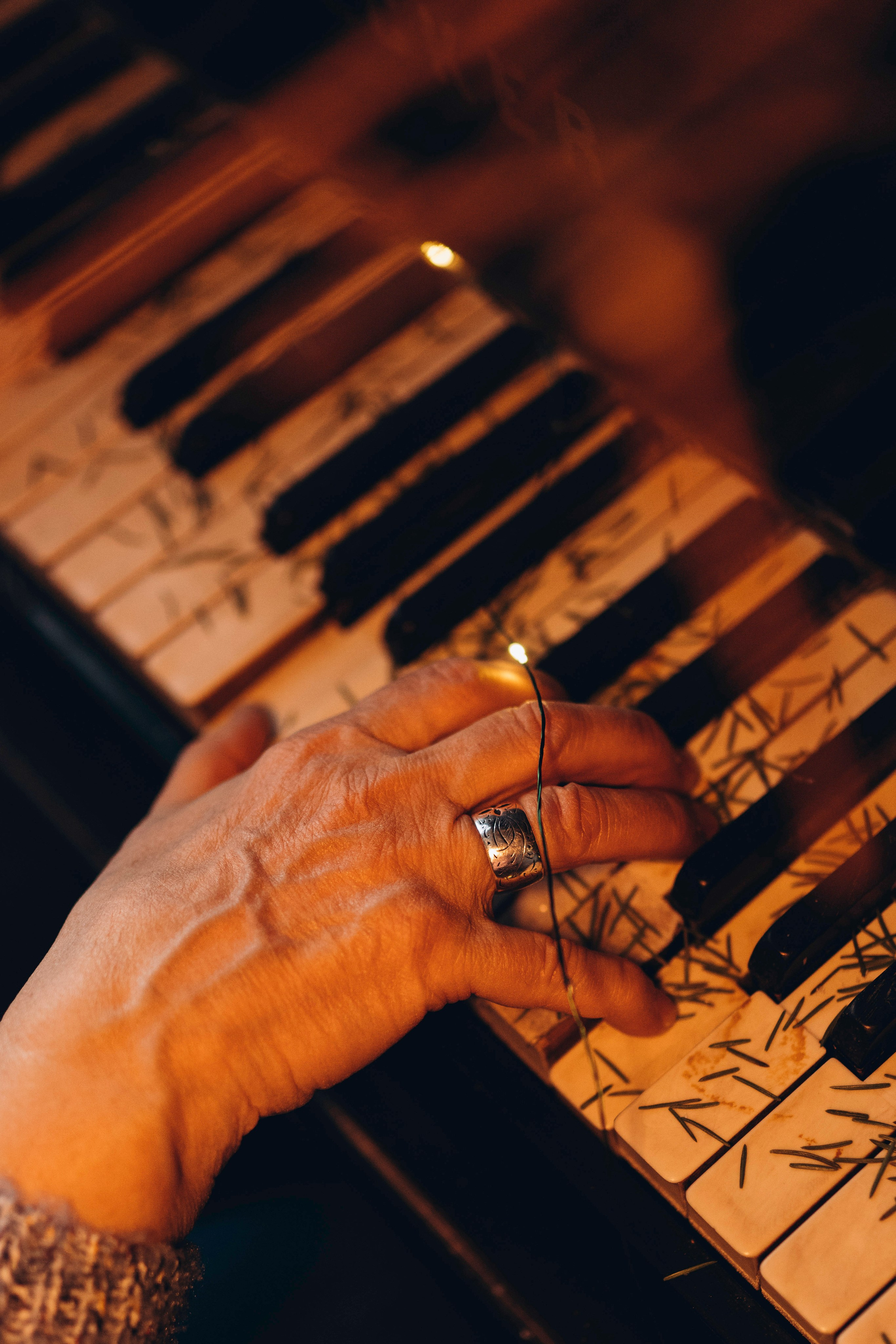 Ариша и её семья. Фотограф анималист в Спб недорого Олеся Майорова