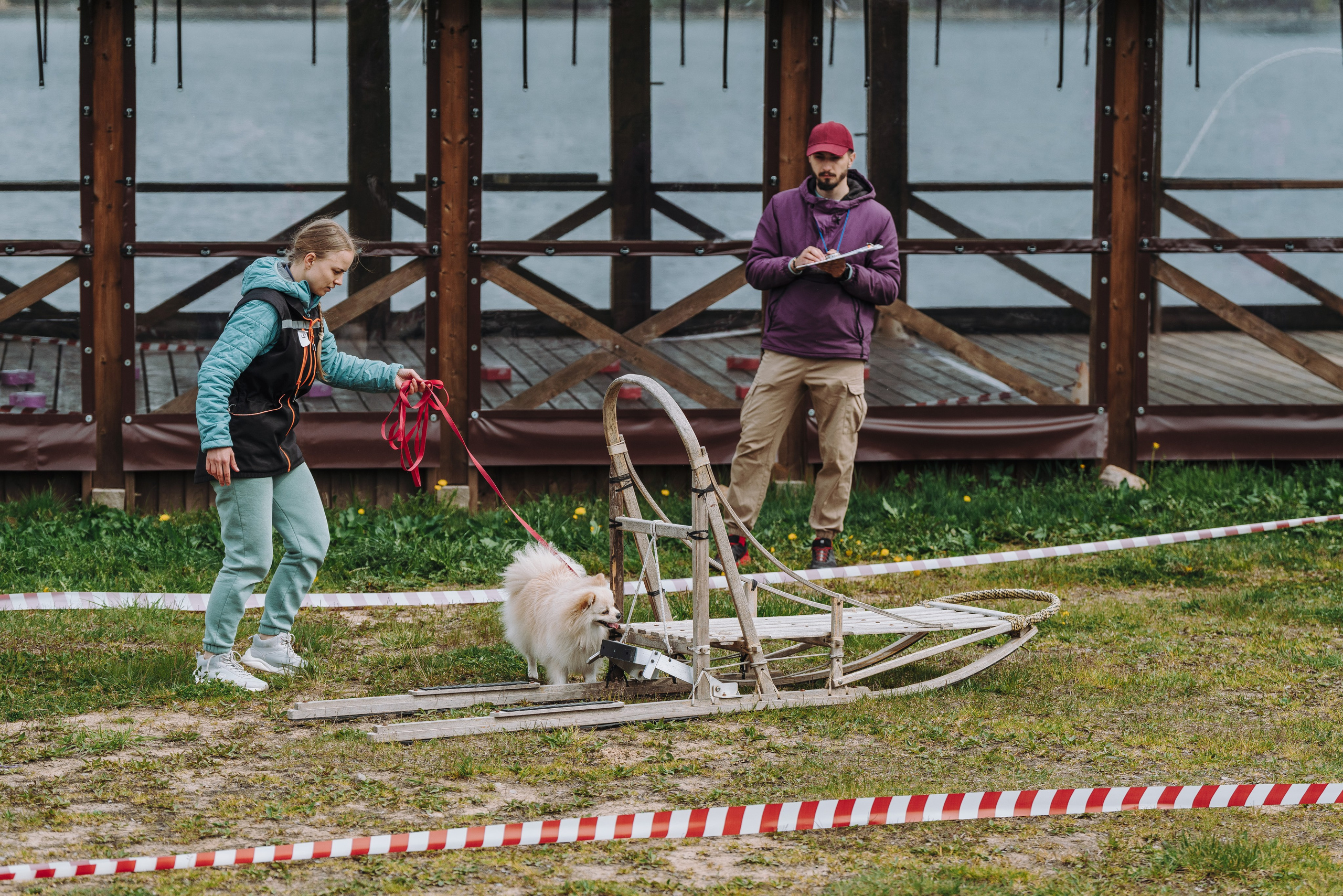 Соревнования по ноузворку в Лосево. Фотограф анималист в Спб недорого Олеся Майорова