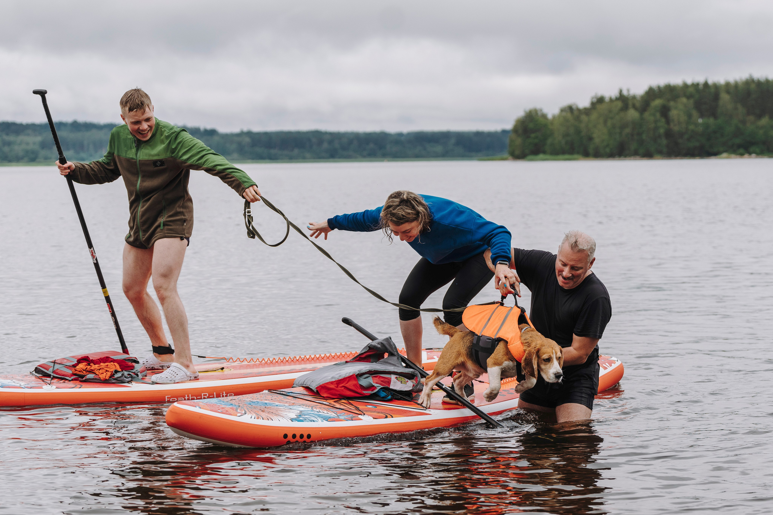 Катание на сапах с собаками. Фотограф анималист в Спб недорого Олеся Майорова