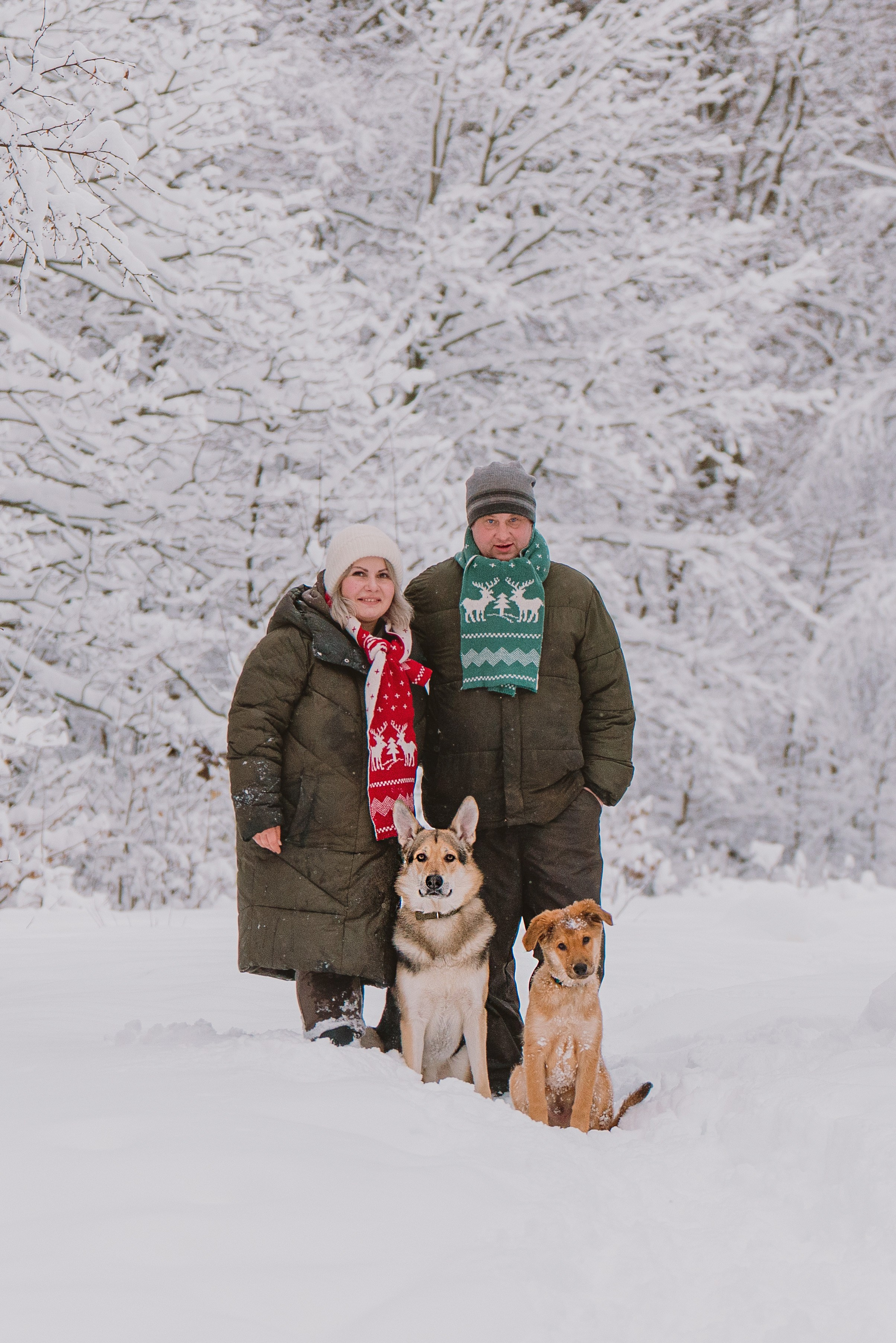 Фотосессия с питомцами на природе. Фотограф анималист в Спб недорого Олеся Майорова
