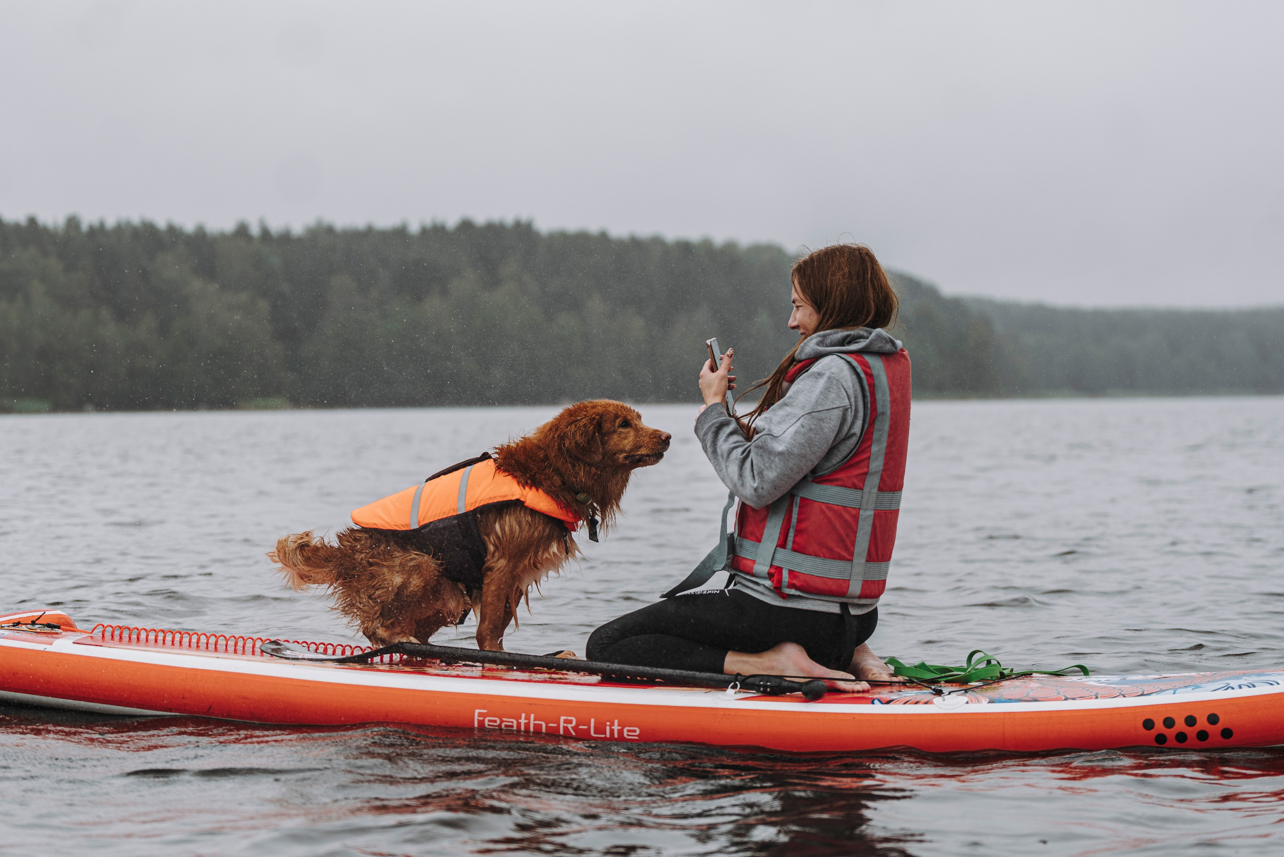 Катание на сапах с собаками. Фотограф анималист в Спб недорого Олеся Майорова