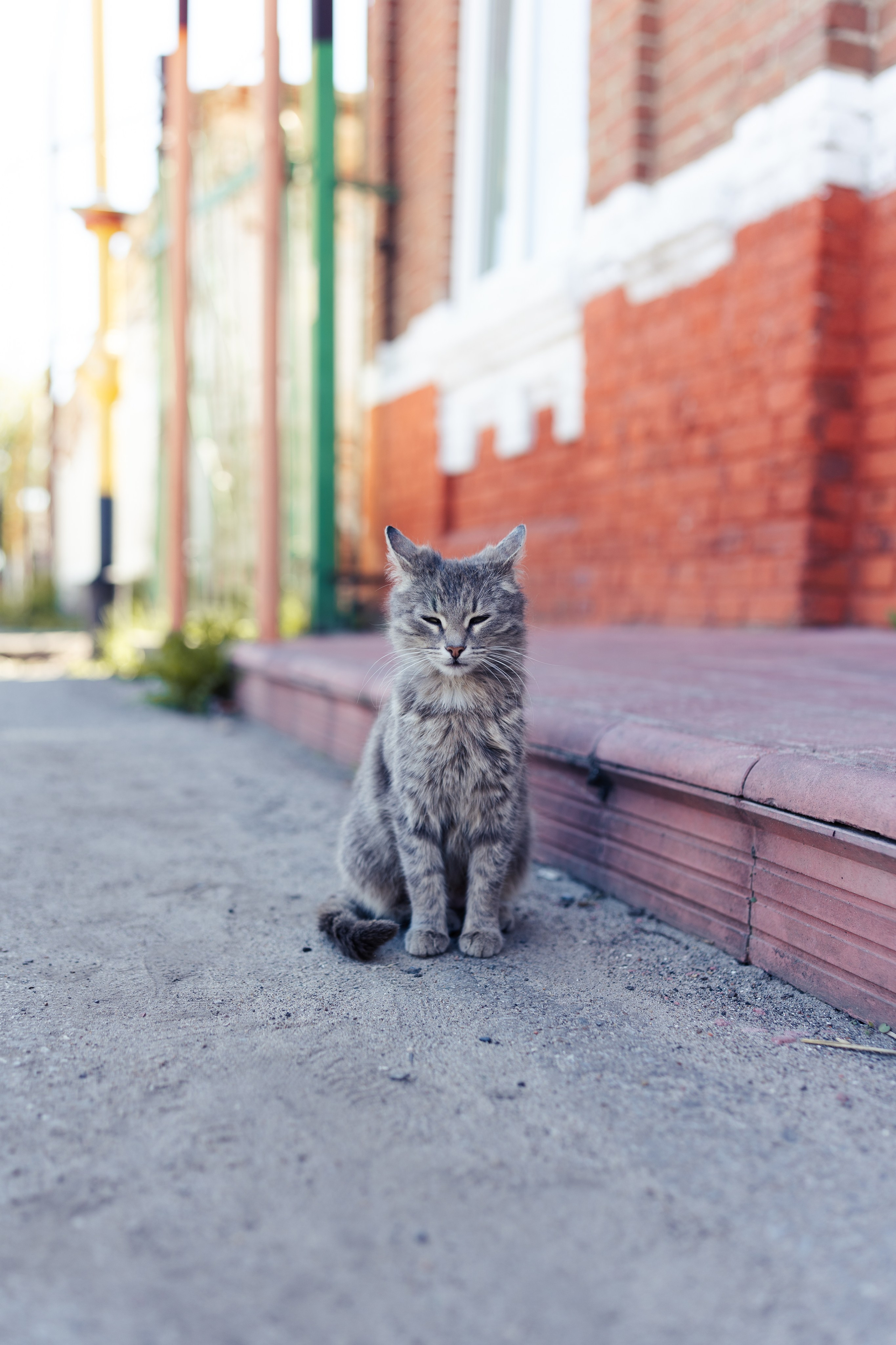 Движение первых. Фотограф в СПБ Алмаз Камаев