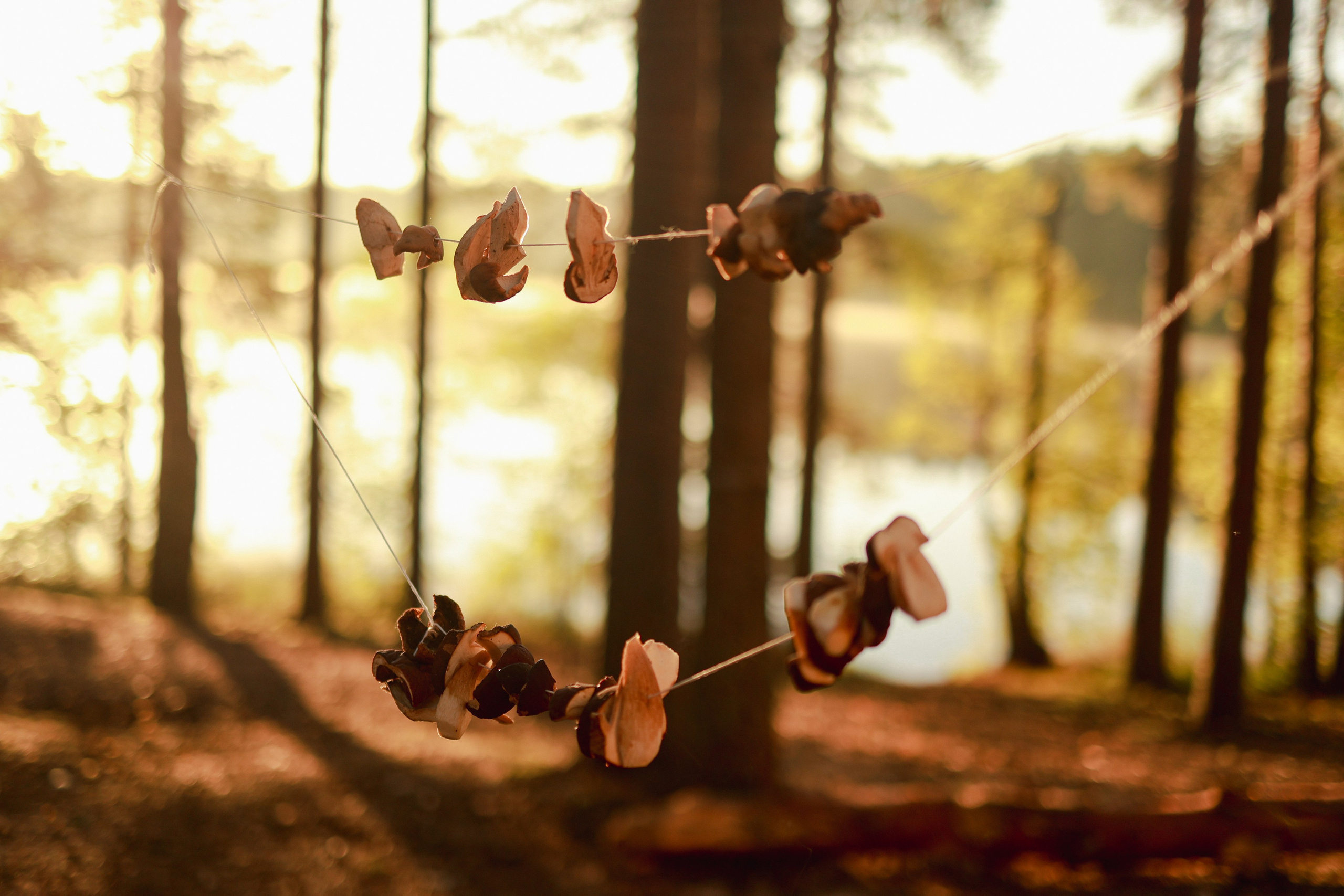 Фестиваль Hello Camper закрытие 2024. Репортажный и портретный фотограф в Санктпетербурге. Видиосъемка мероприятий в Санкт-Петербурге
