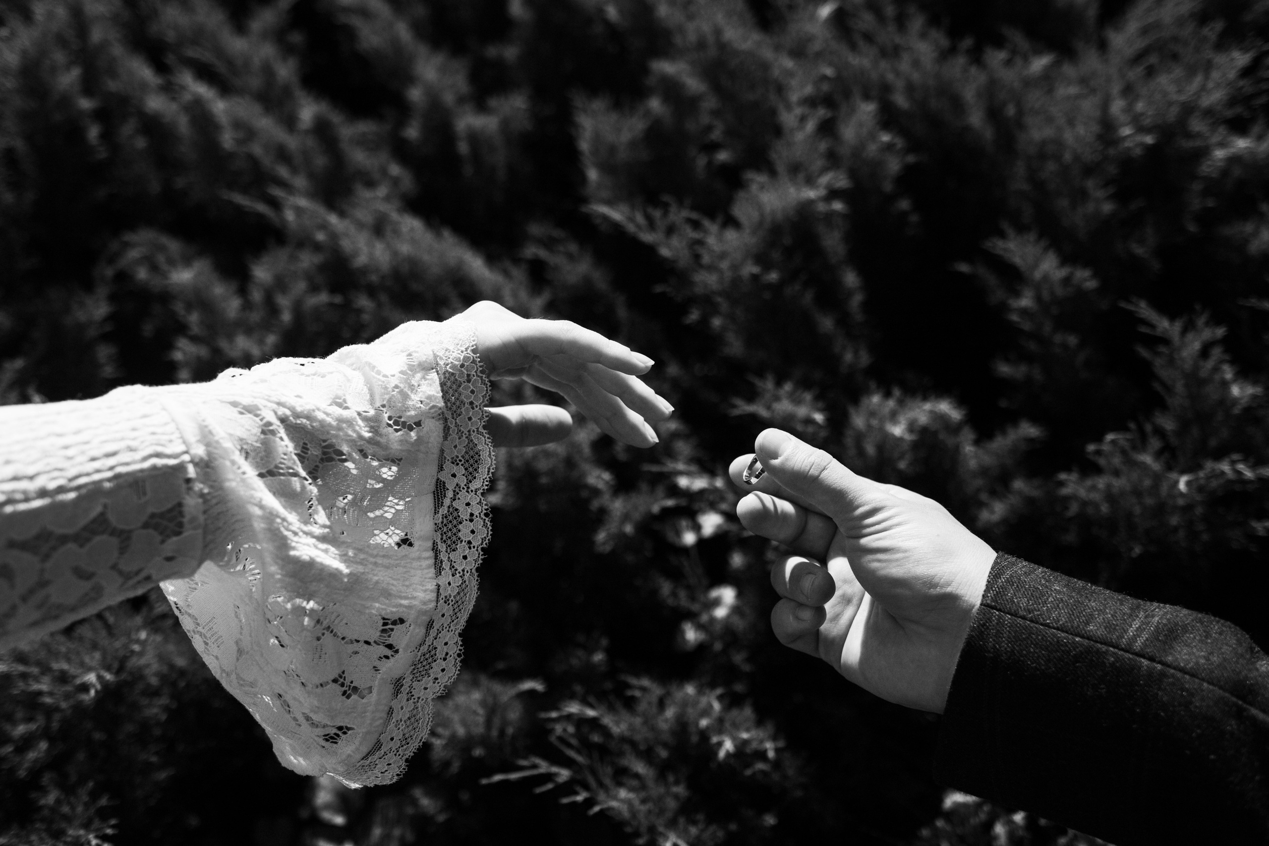 YAN + TANYA. Photographer Alina Skitovich