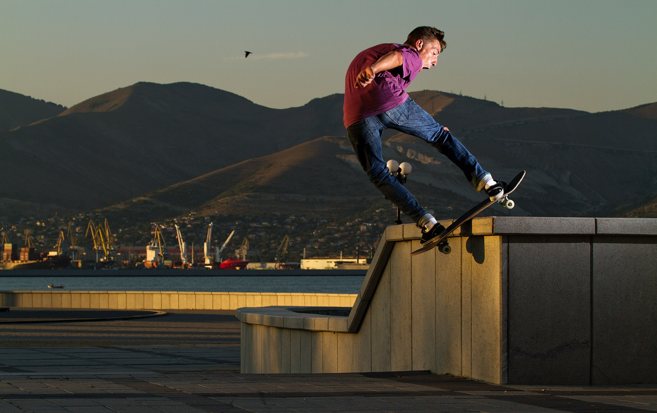 Action / Highlights. Bivol images