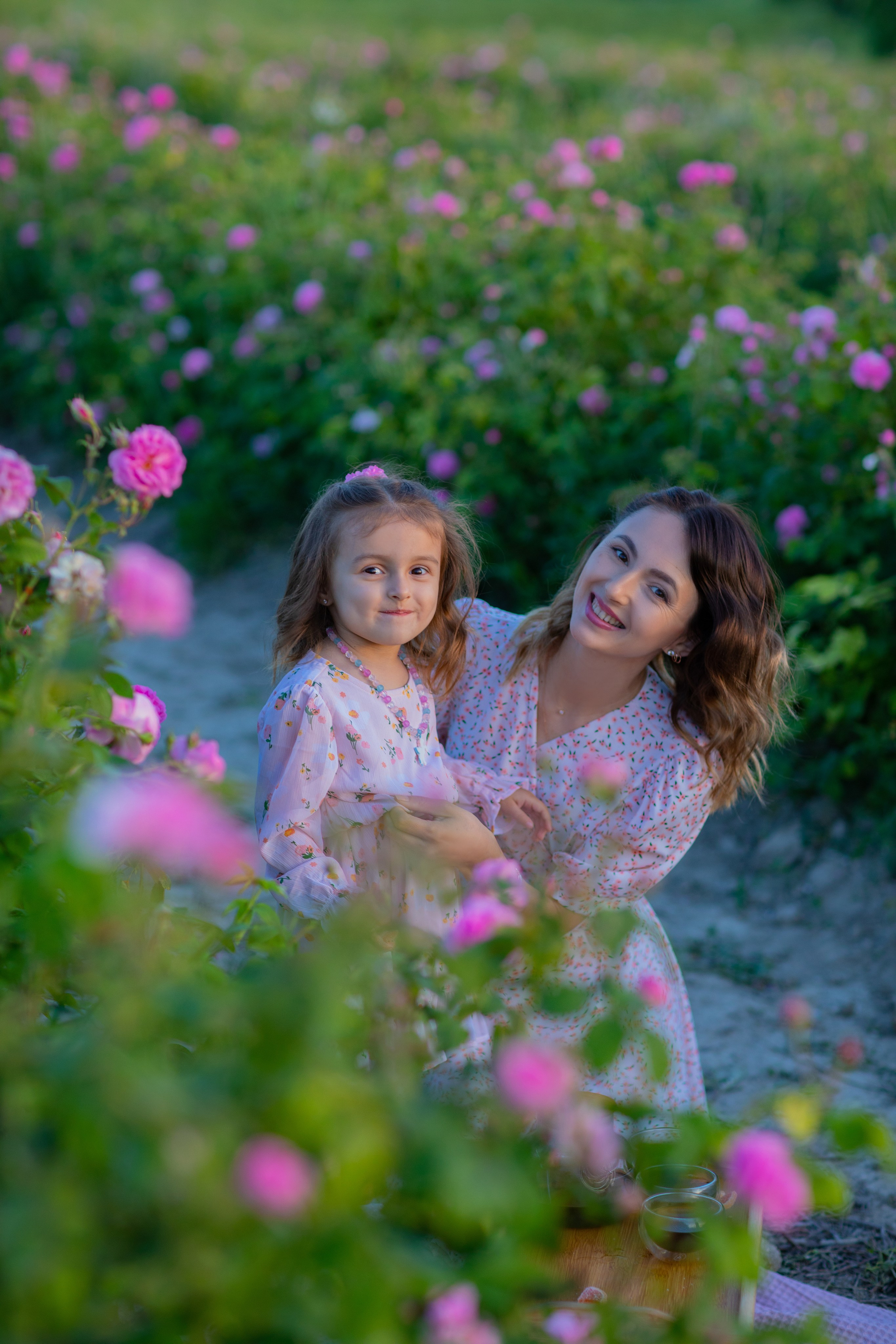 Чайная роза. Фотограф Севастополь/Крым Светлана Евтушенко