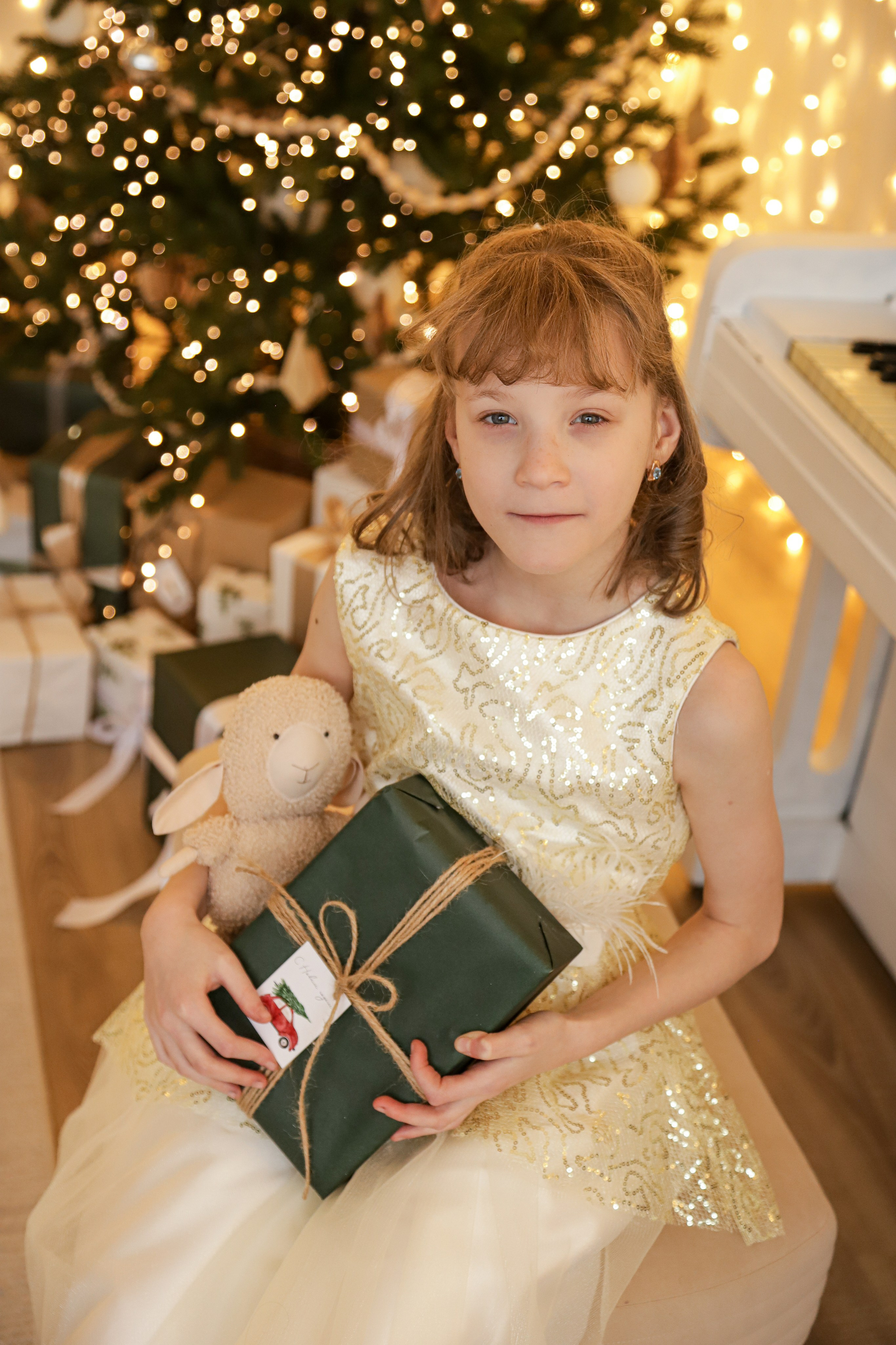 Сестрички новогодняя. Диана Николаева — фотограф город Балашиха