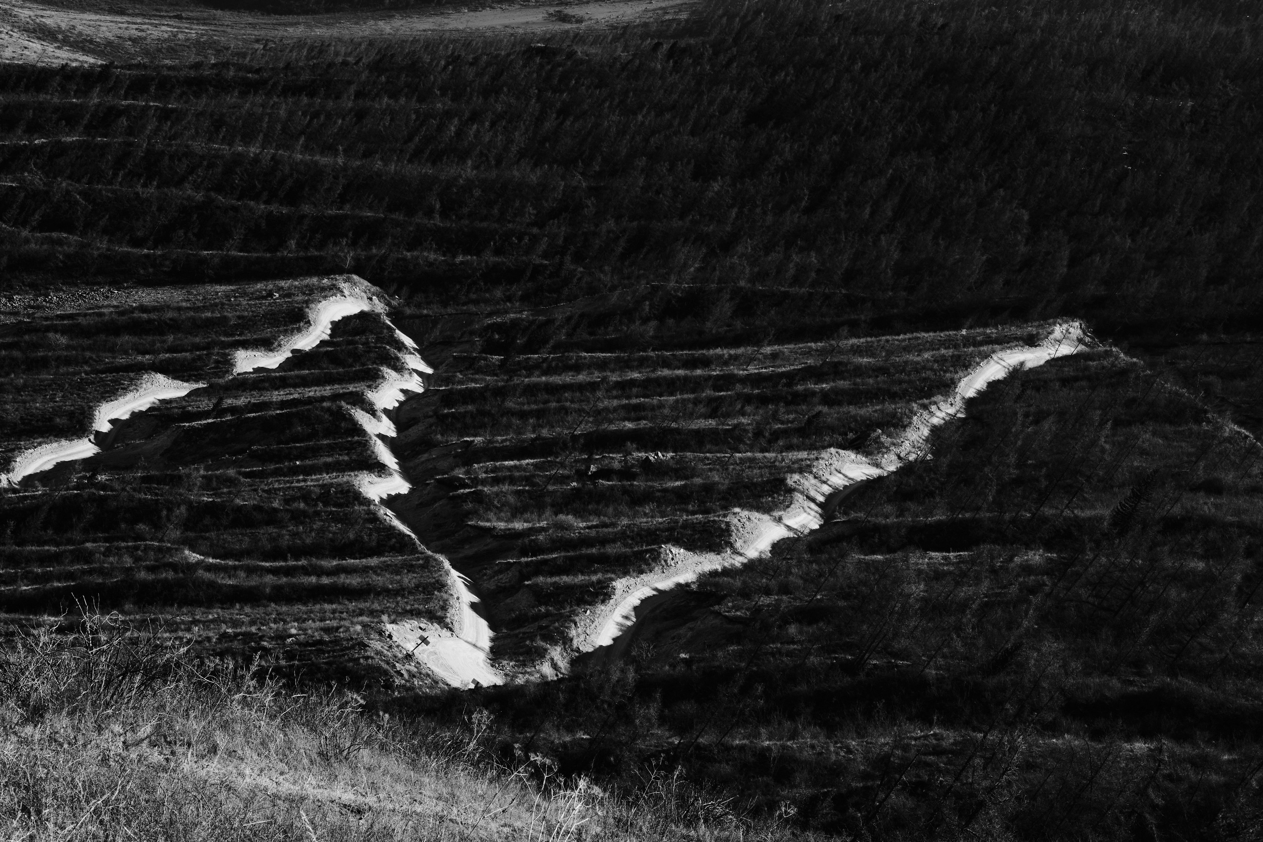 Алтай в ожидании лета. Shaltay Gallery