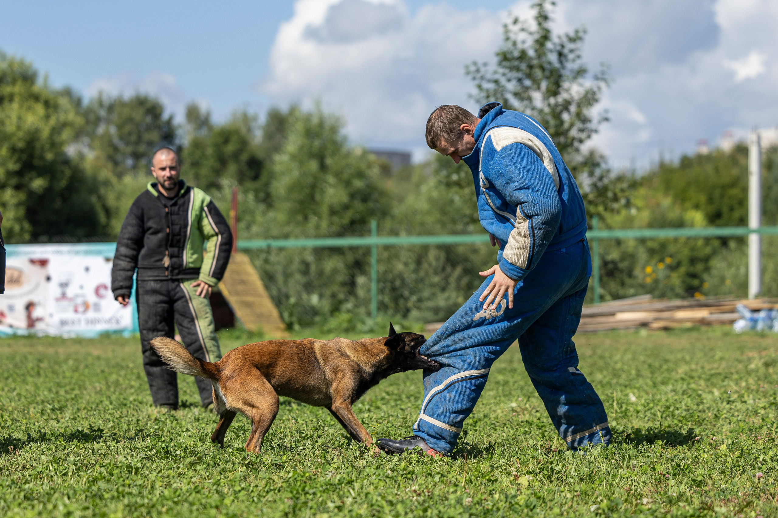 Соревнования по Мондьорингу г. Вологда 10-11.08.2024. Фотограф-анималист Анна Маринич