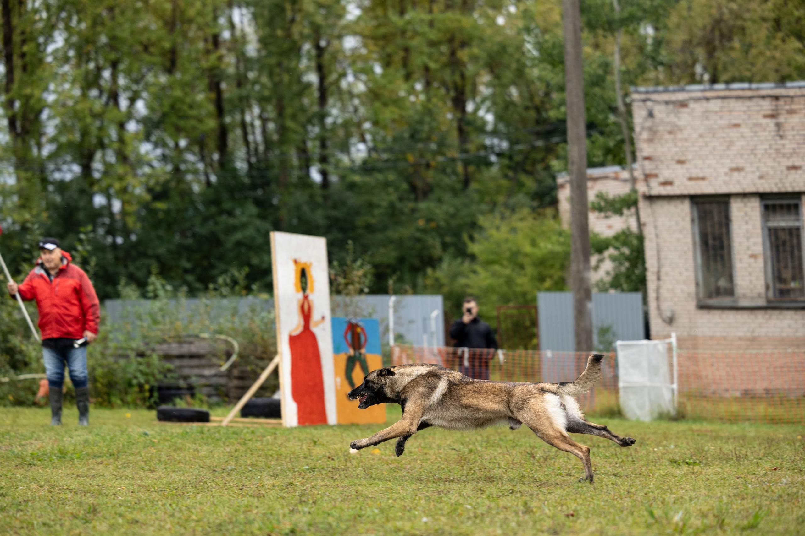 Испытания по Мондьорингу г. Пушкин. Фотограф-анималист Анна Маринич