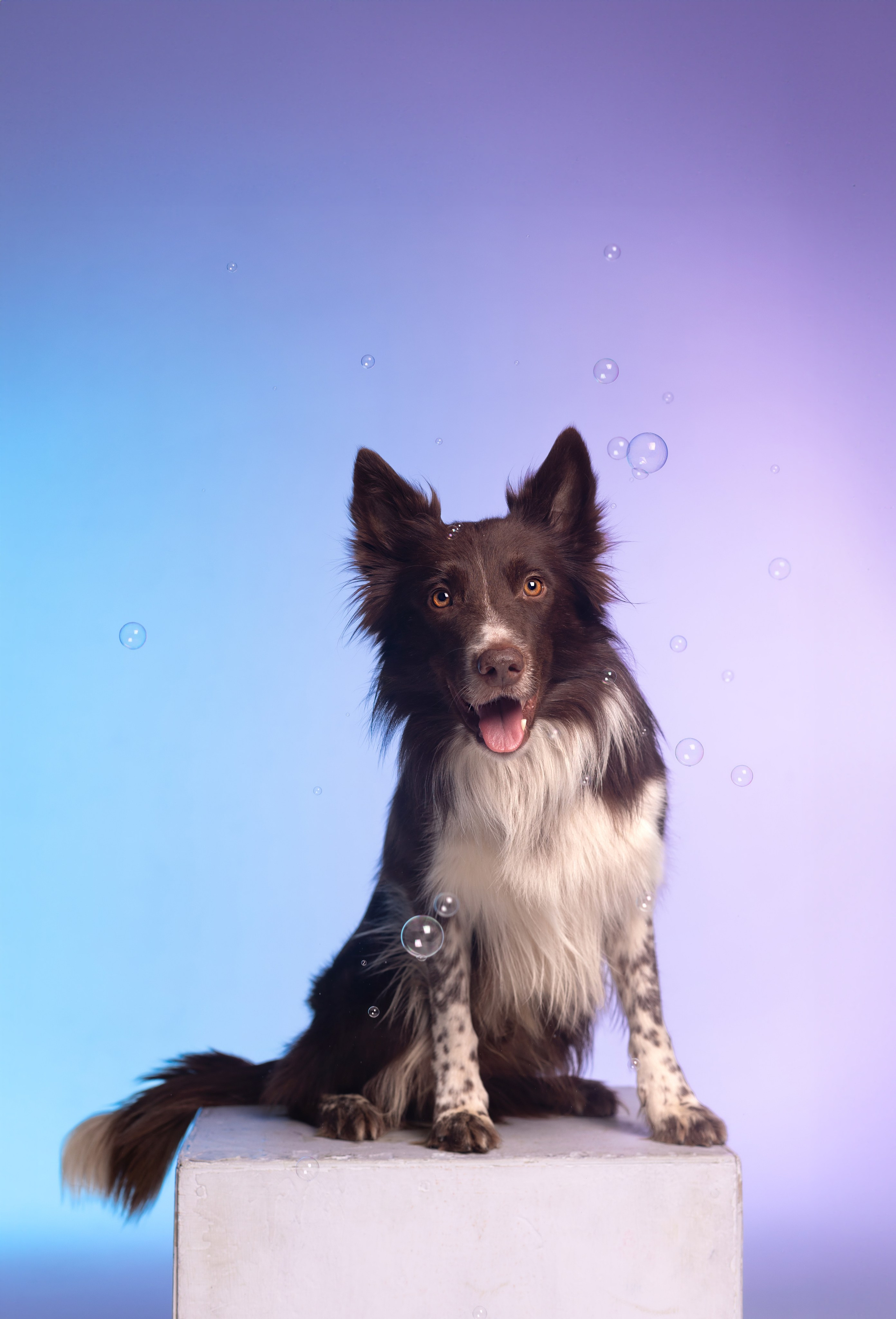 Неон. Фотограф анималист Кристина Карпова, Москва