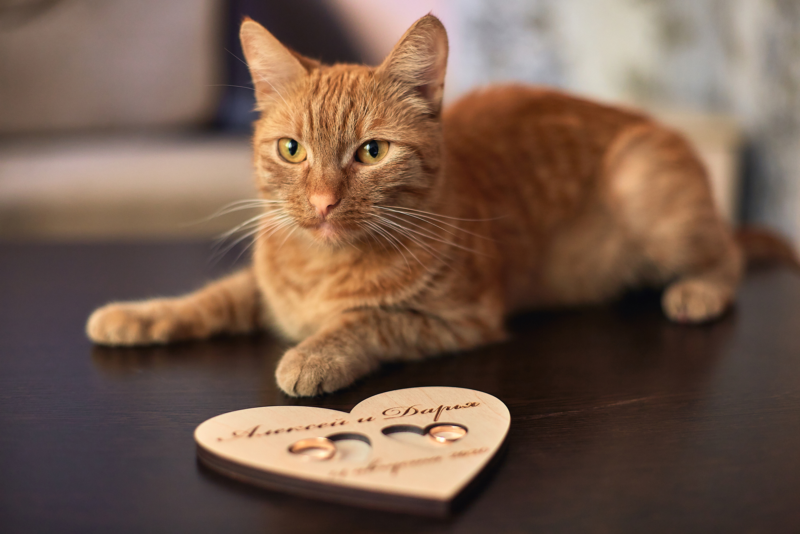 Свадьба Алексея и Дарьи в Жигулевске. Свадебный фотограф в Тольятти Жигулевске и Самаре Пономарев Евгений