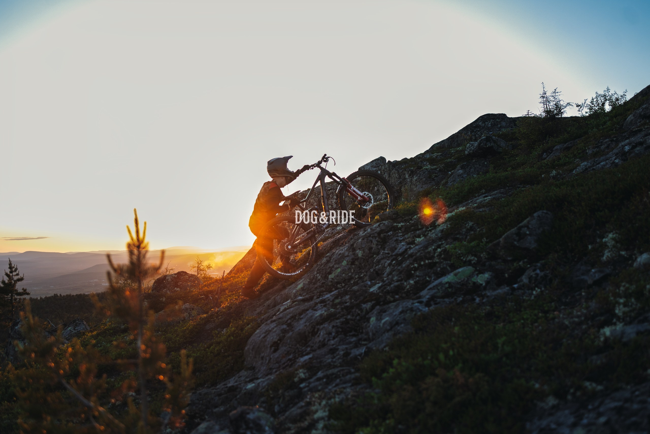 Кандалакшка. Фотограф анималист Никита Натальный