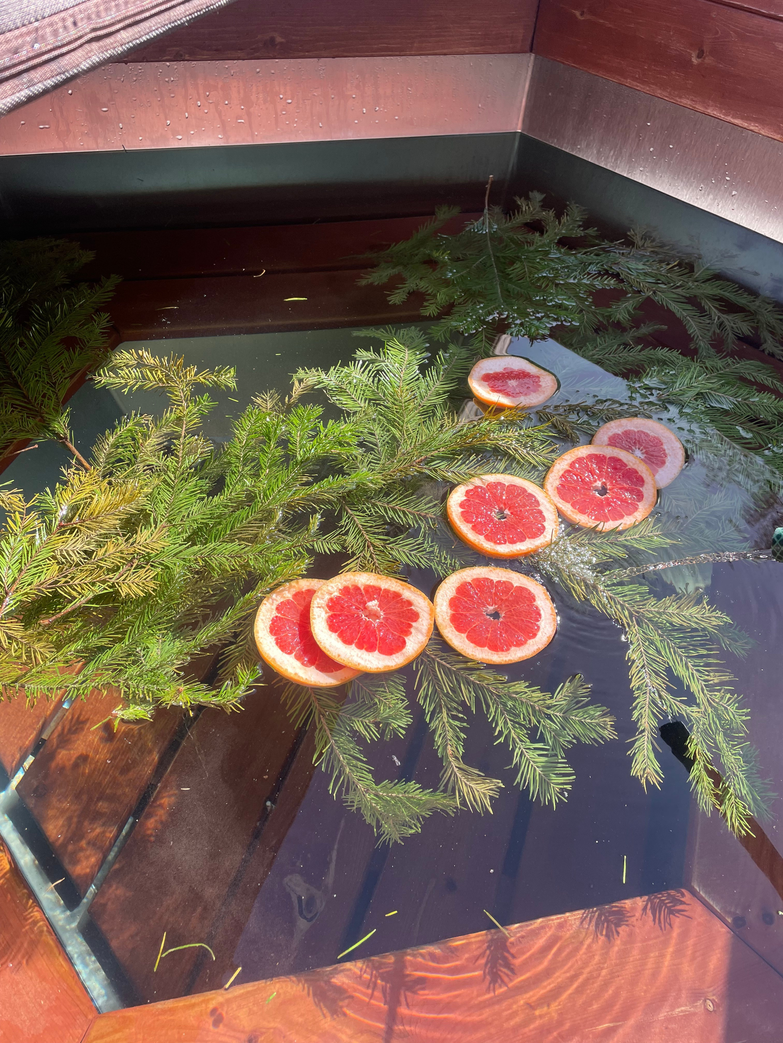 Чан. Организатор загородного отдыха в Переславле Валерия