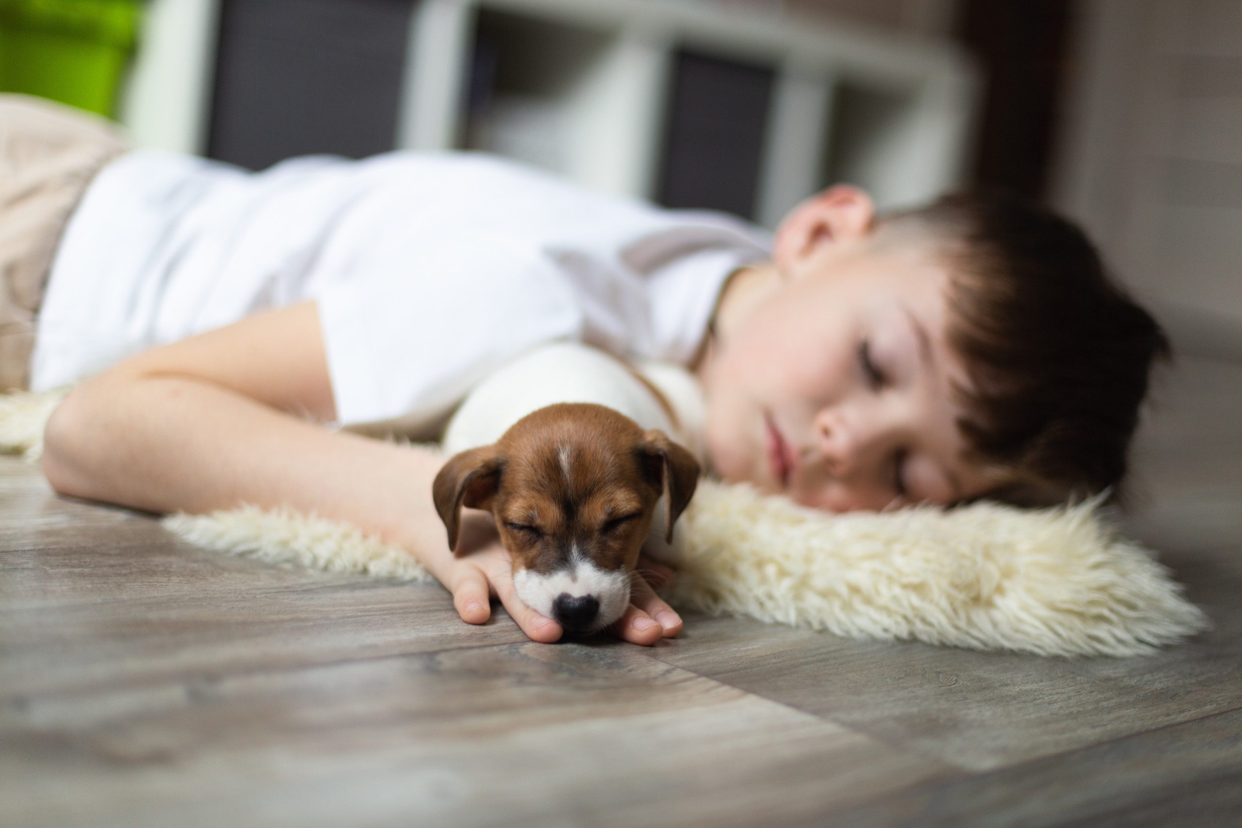 Дети. Семейный, детский и рекламный фотограф в Москве Ольга Сухачева