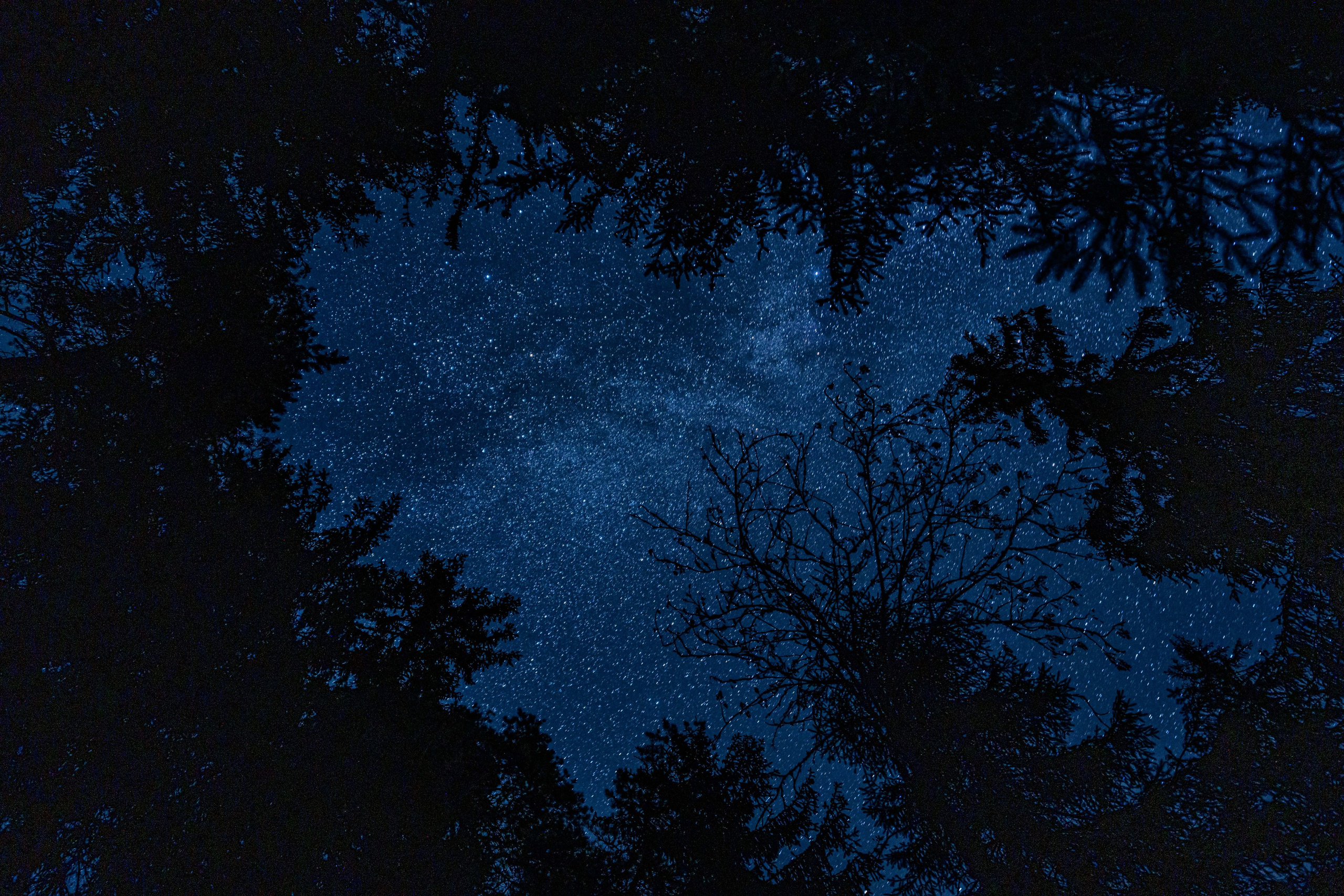 СЕВЕР. Event фотограф Степанова Александра