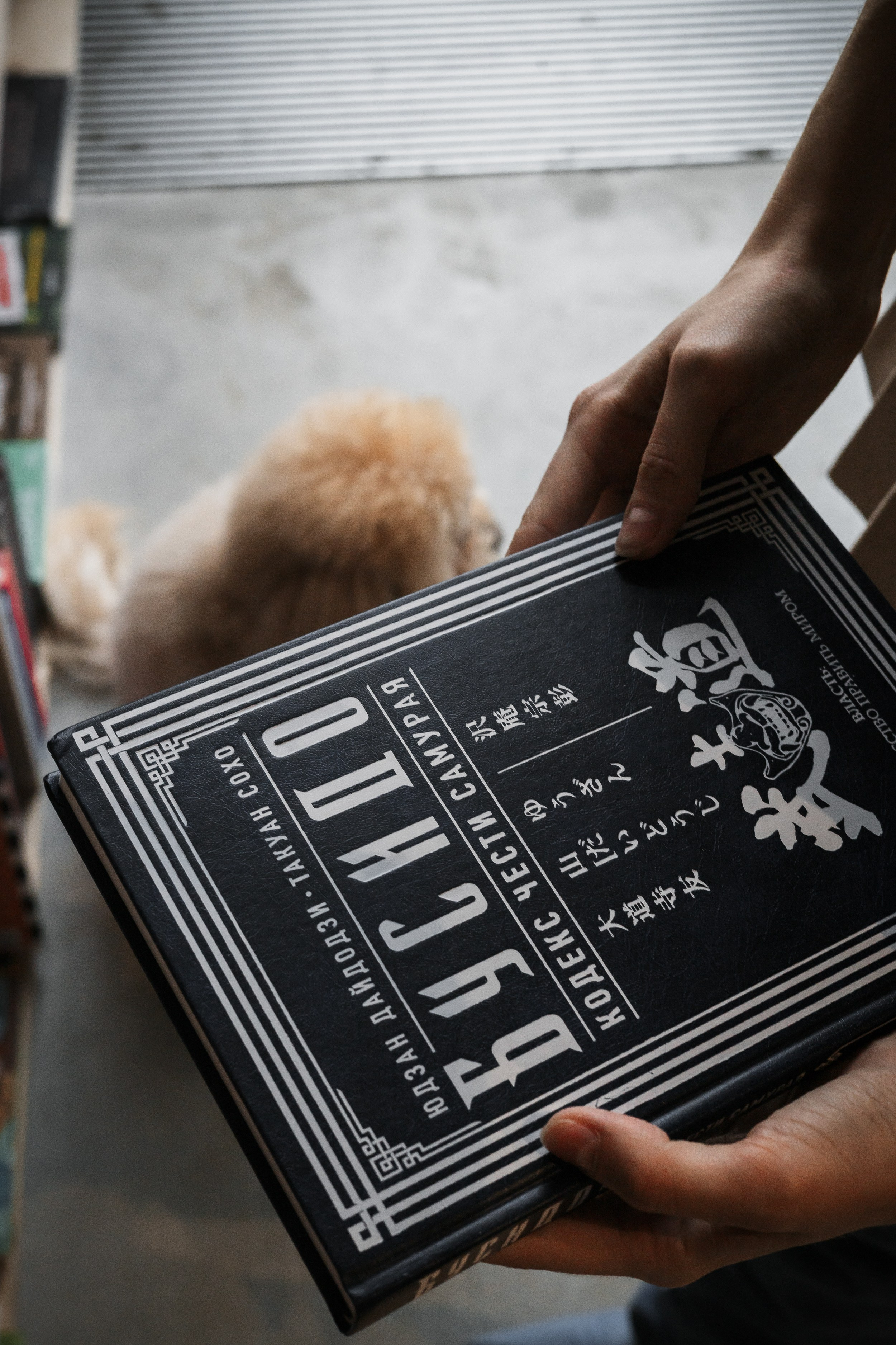 Алина — прогулка