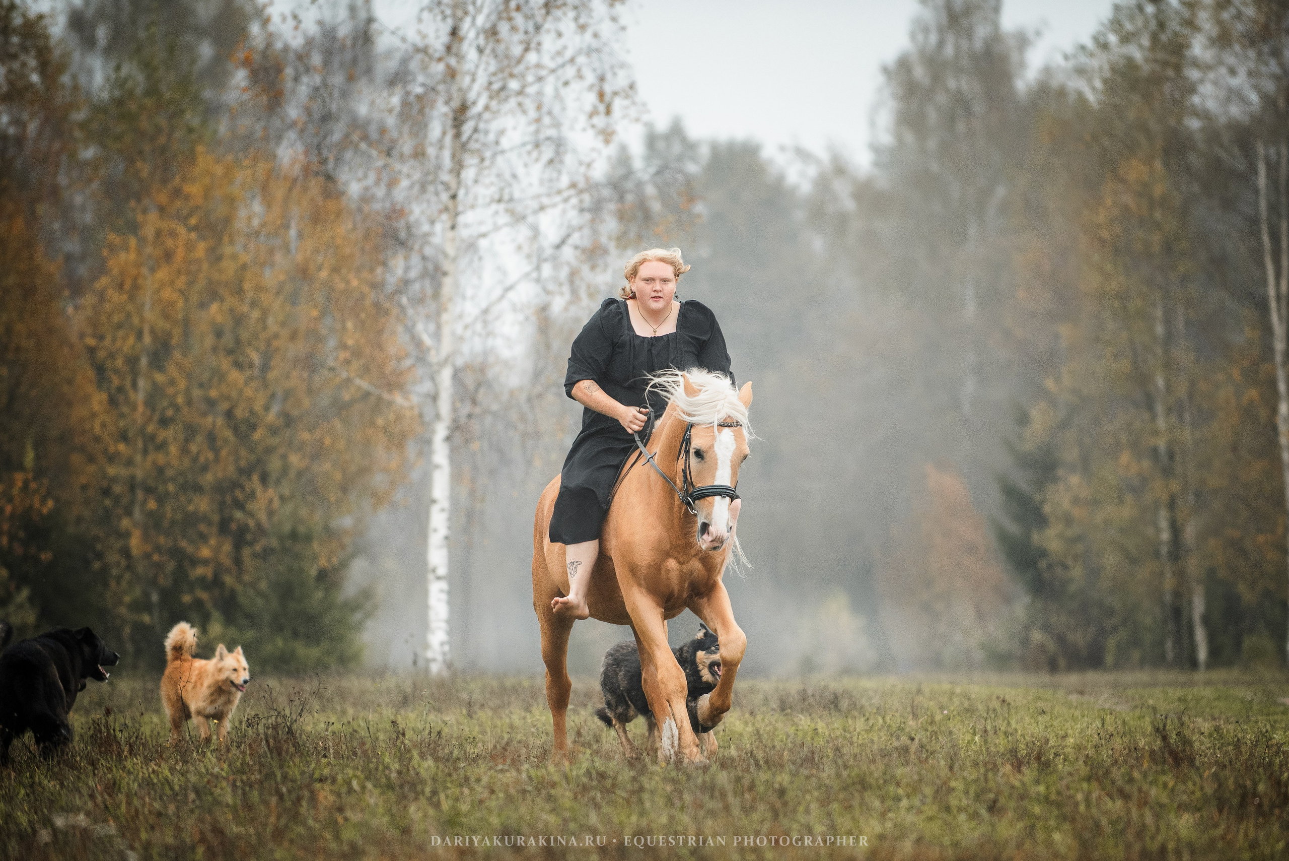 Ира, Тамара и Лена, КСК «БАЛЛАДА». Конный фотограф Куракина Дарья • Фотосессии с лошадьми