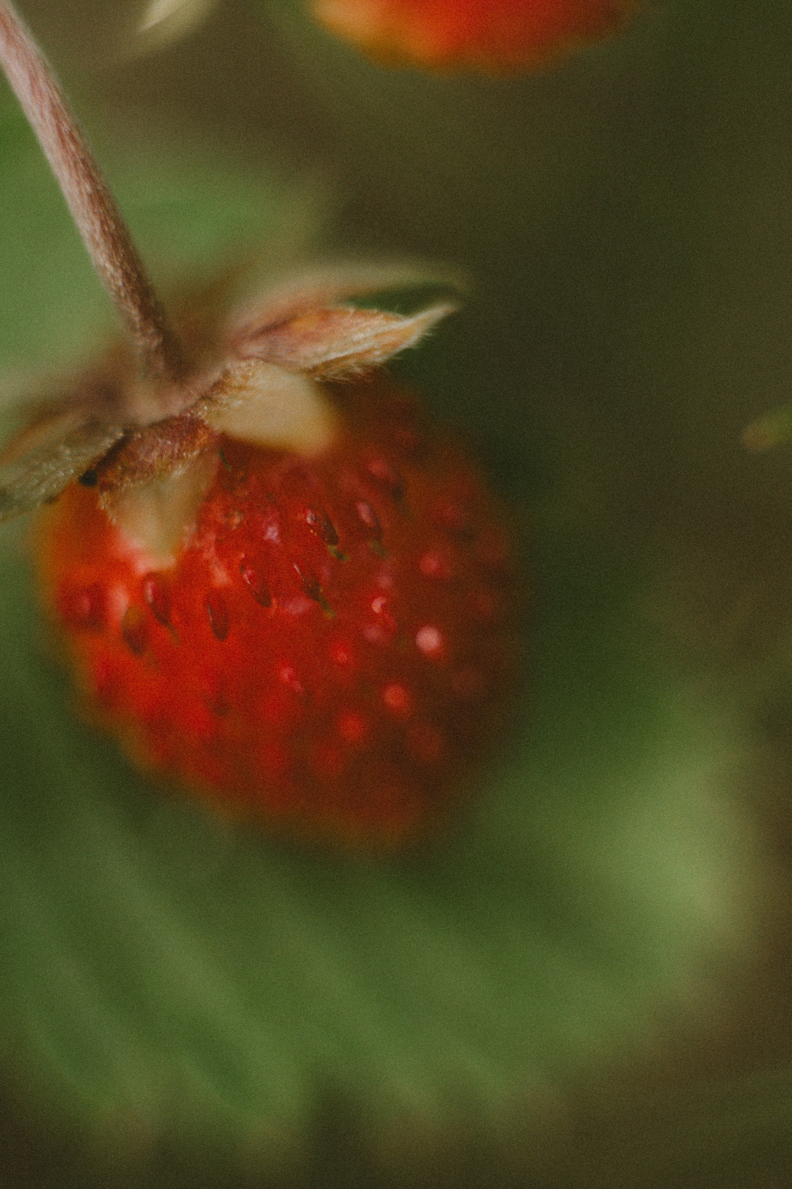 Санкт-Петербург. Фотограф Екатерина Катунова | Москва
