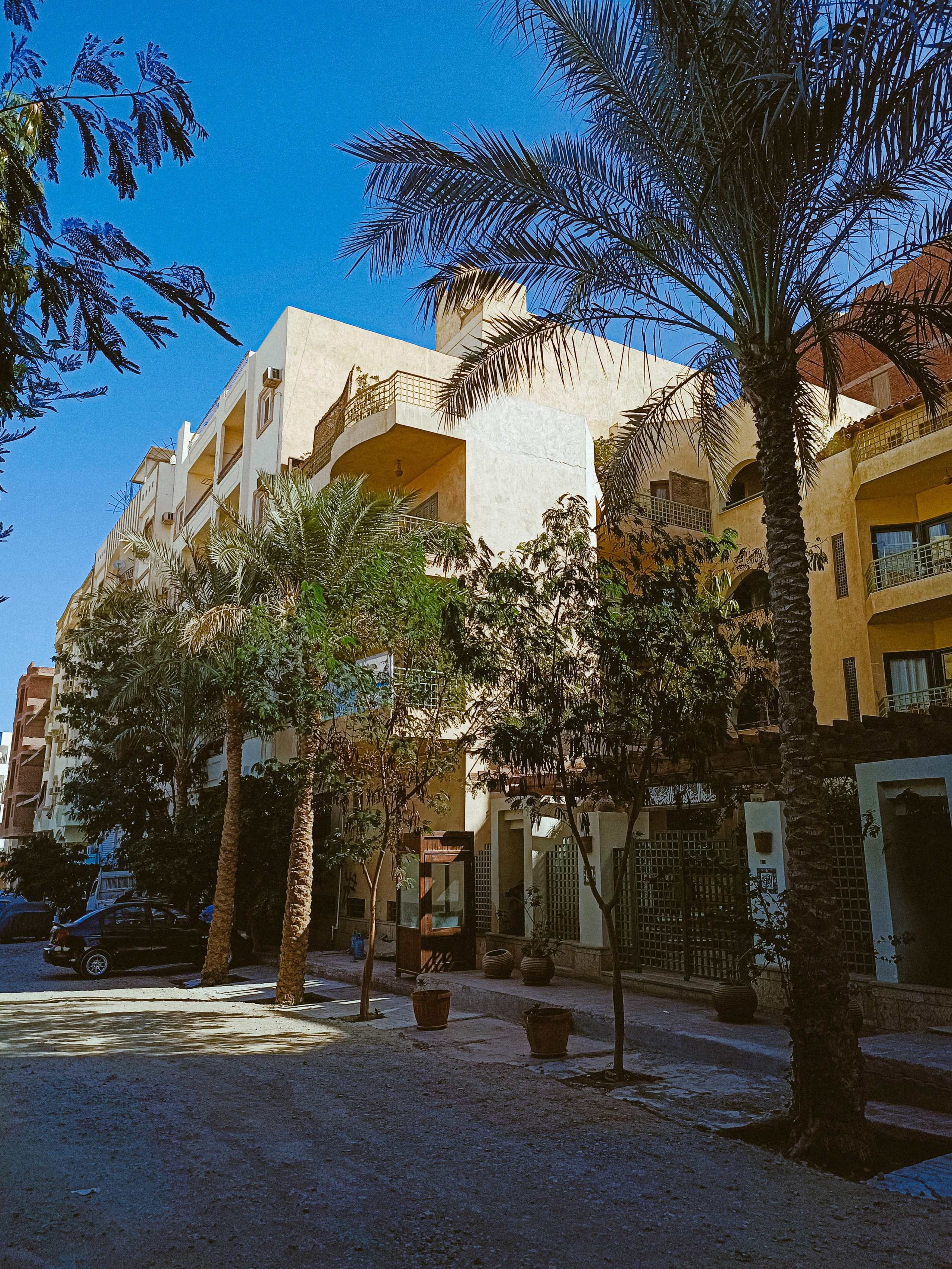 Мобильная. Jorgis — фотограф в Хургаде / обучение фотографии