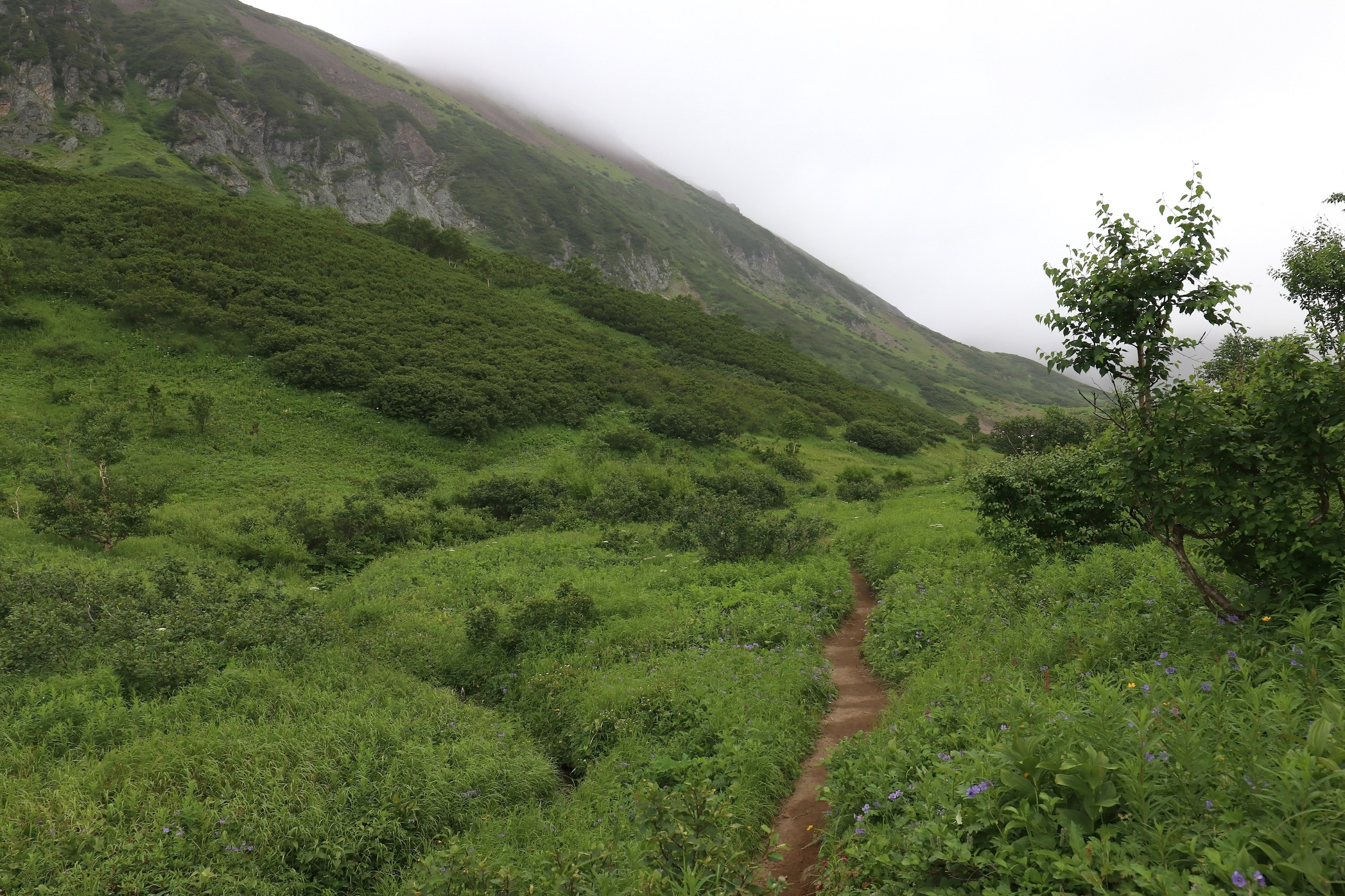 Камчатка и о. Парамушир. Июль 2024. Путешественник-фотограф из Санкт-Петербурга Татьяна Свистулина