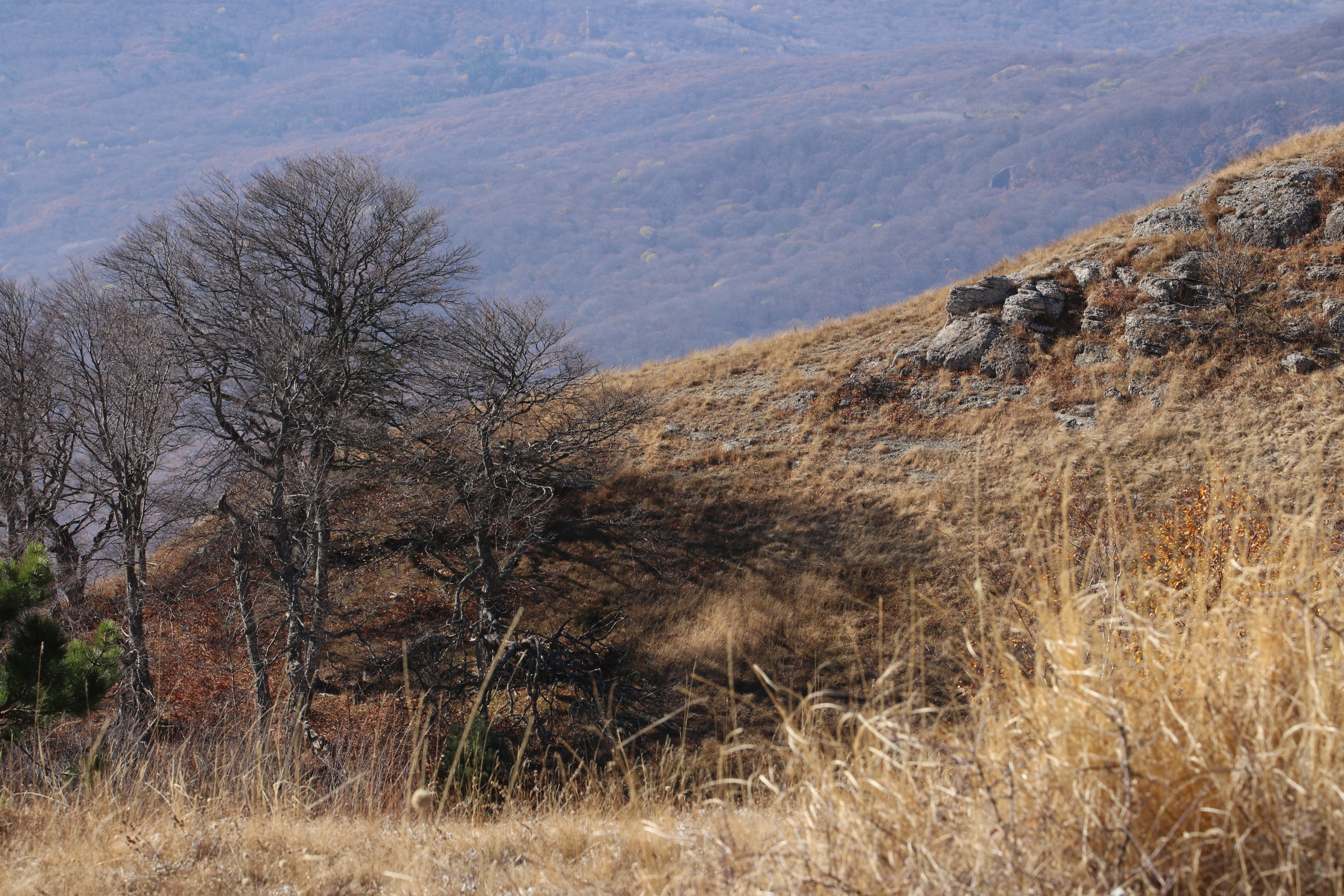Крым. ЮБК (Гурзуф, Судак и их окрестности). Ноябрь 2023. Путешественник-фотограф из Санкт-Петербурга Татьяна Свистулина
