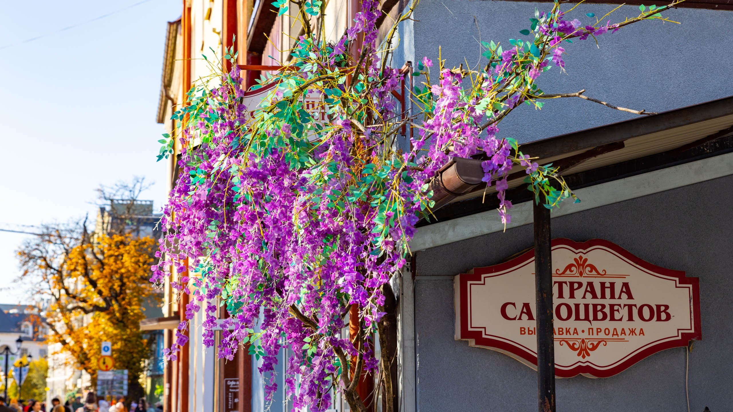 2024 10 Зеленоградск, Светлогорск, Куршская коса. Фотографии