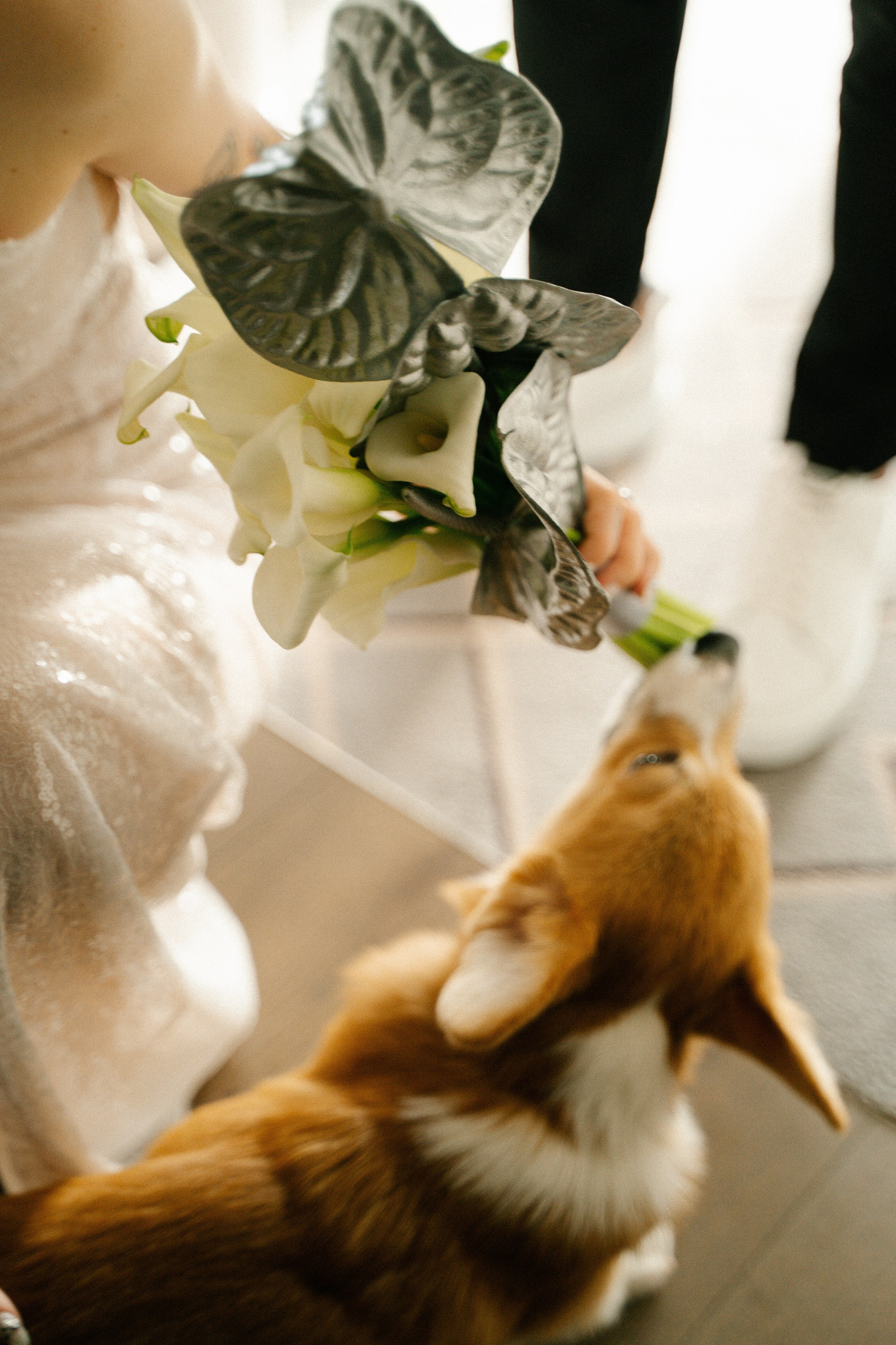 Вегас. Главная