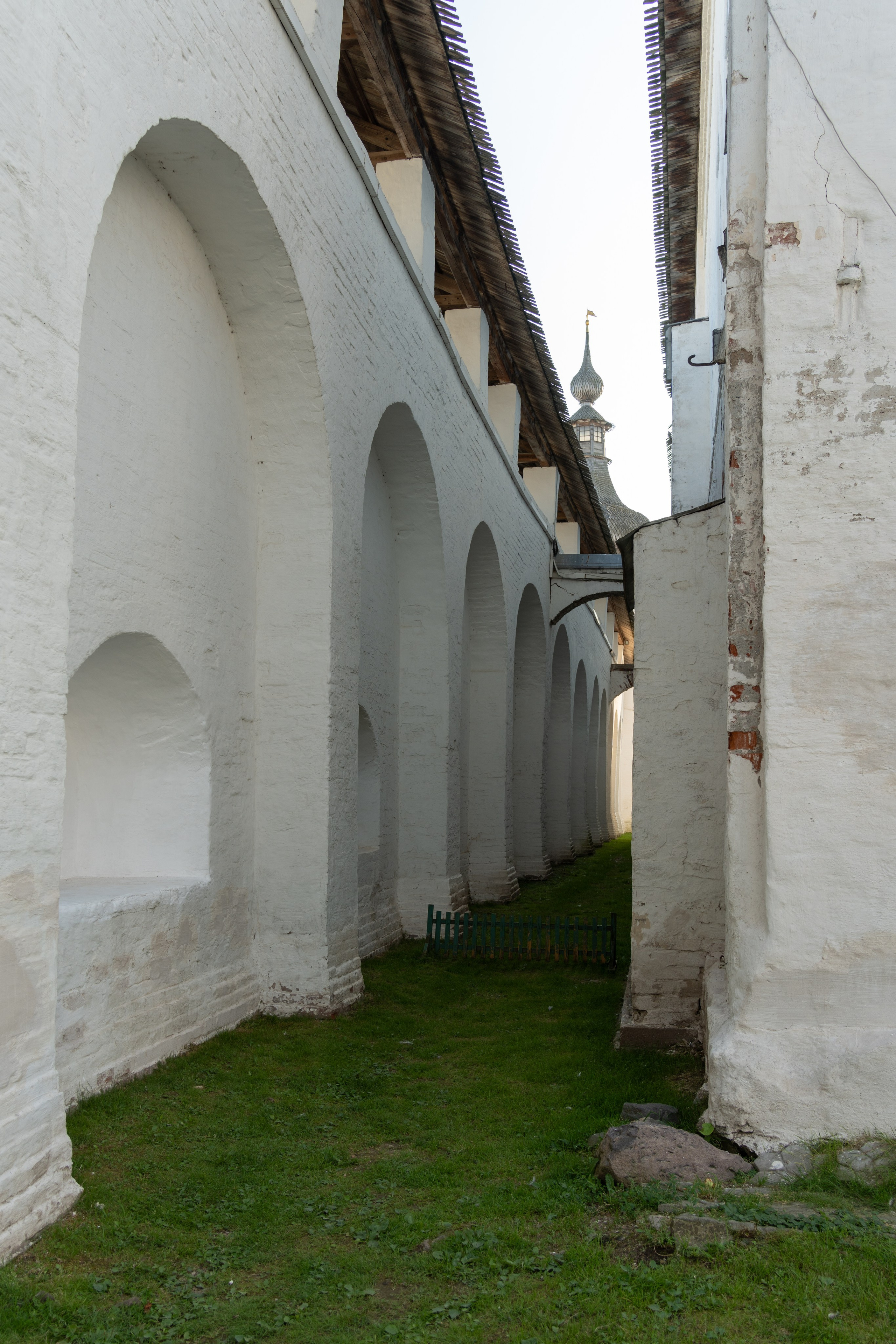 20250729-30 Ростов. Дмитрий Ремизов. Фотография, как хобби