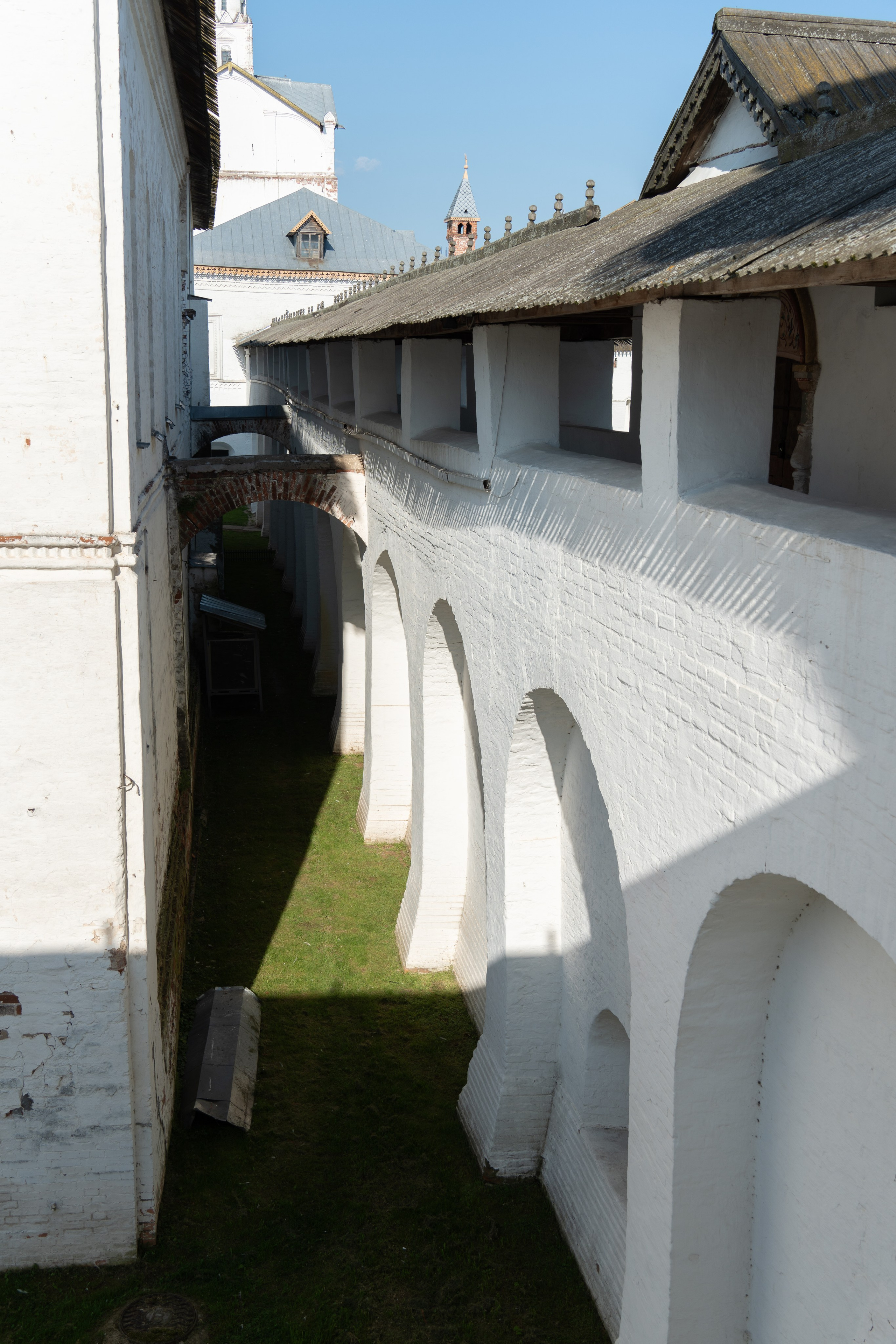 20250729-30 Ростов. Дмитрий Ремизов. Фотография, как хобби