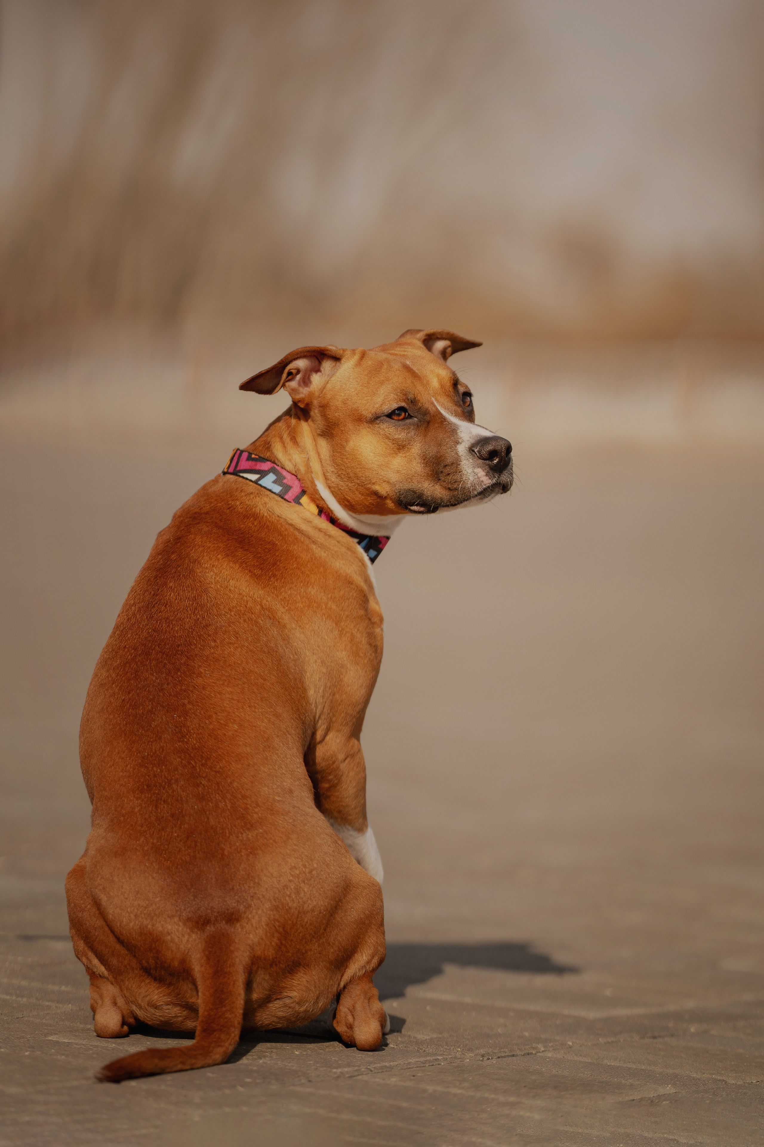 Луна. Kameramotor74