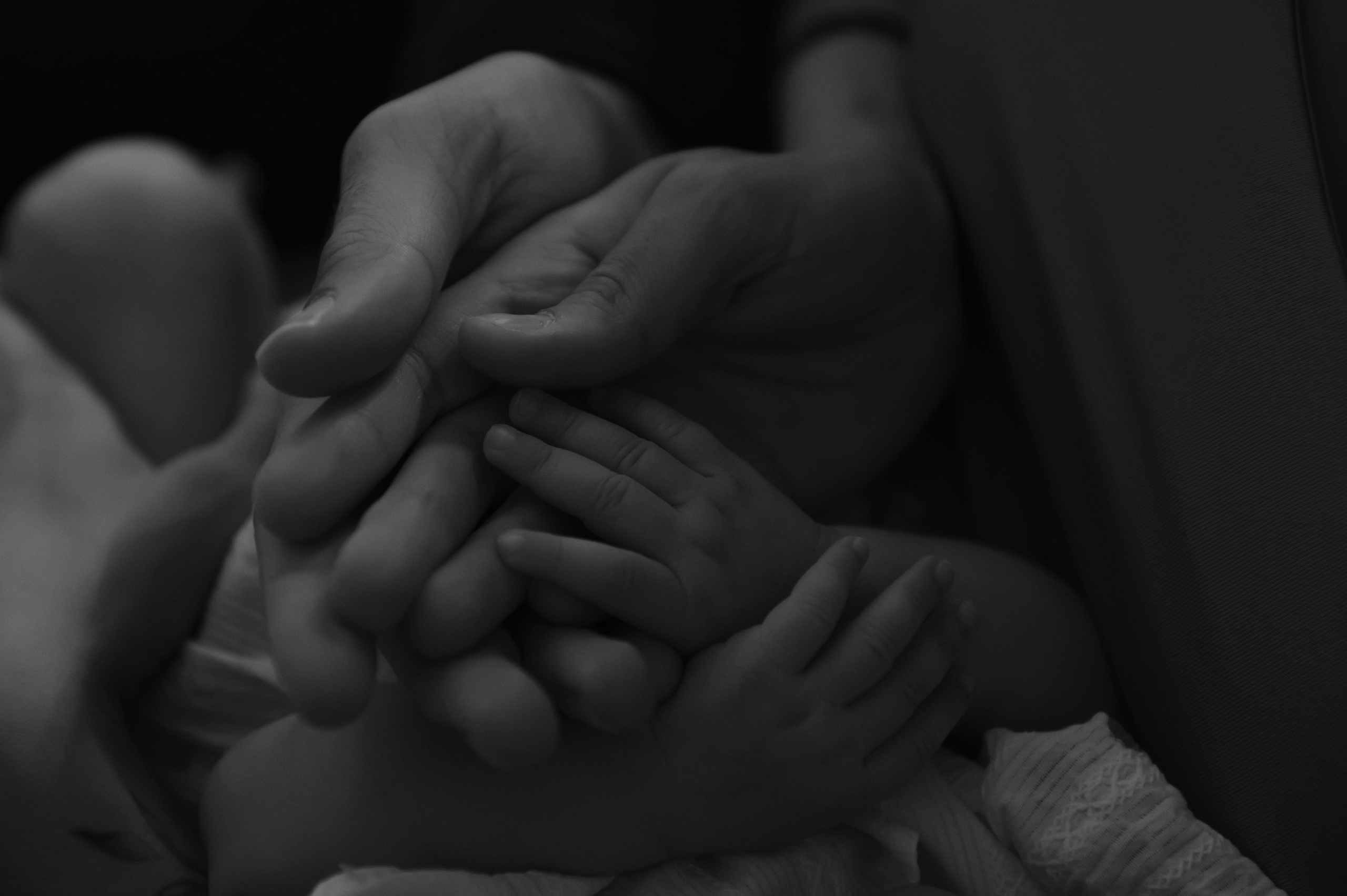 Наташа, Дима и Лера. Свадебный, портретный, фотограф беременности в Нижнем Новгороде Алина Зиновьева