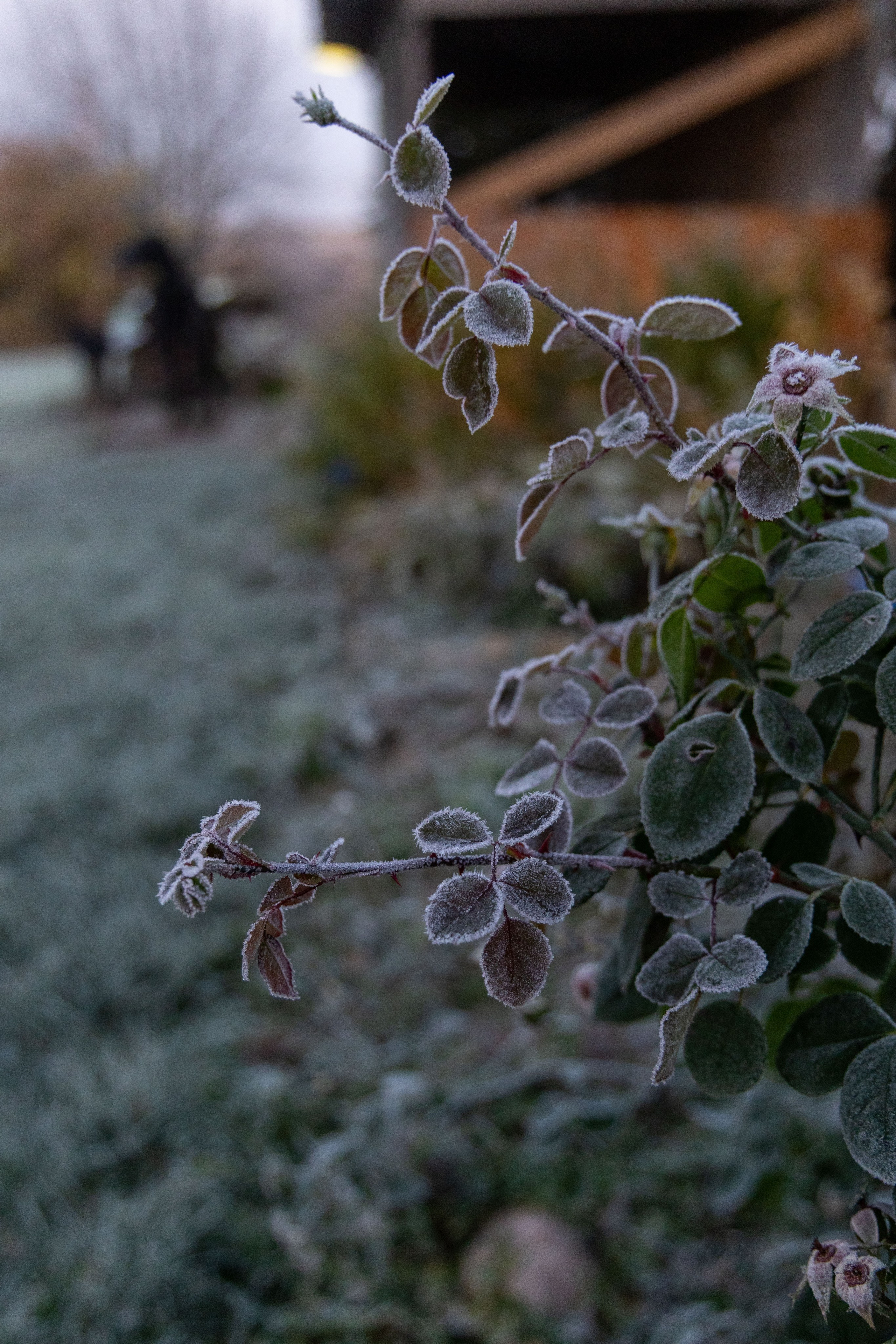 Природа Карелии октябрь 2025. Портретный и семейный фотограф Санкт-Петербург