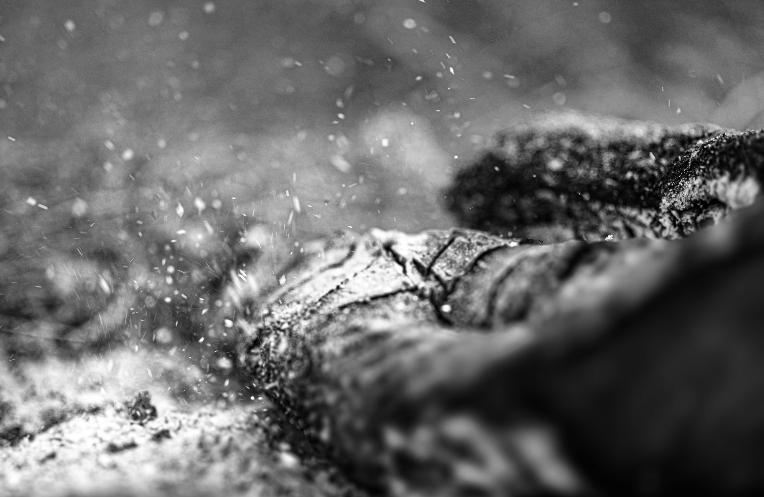 ПЛАНЕТА ЗЕМЛЯ (пейзаж). АЛЕКСЕЙ КОЛМАКОВ. Фотограф. Москва и Московская область