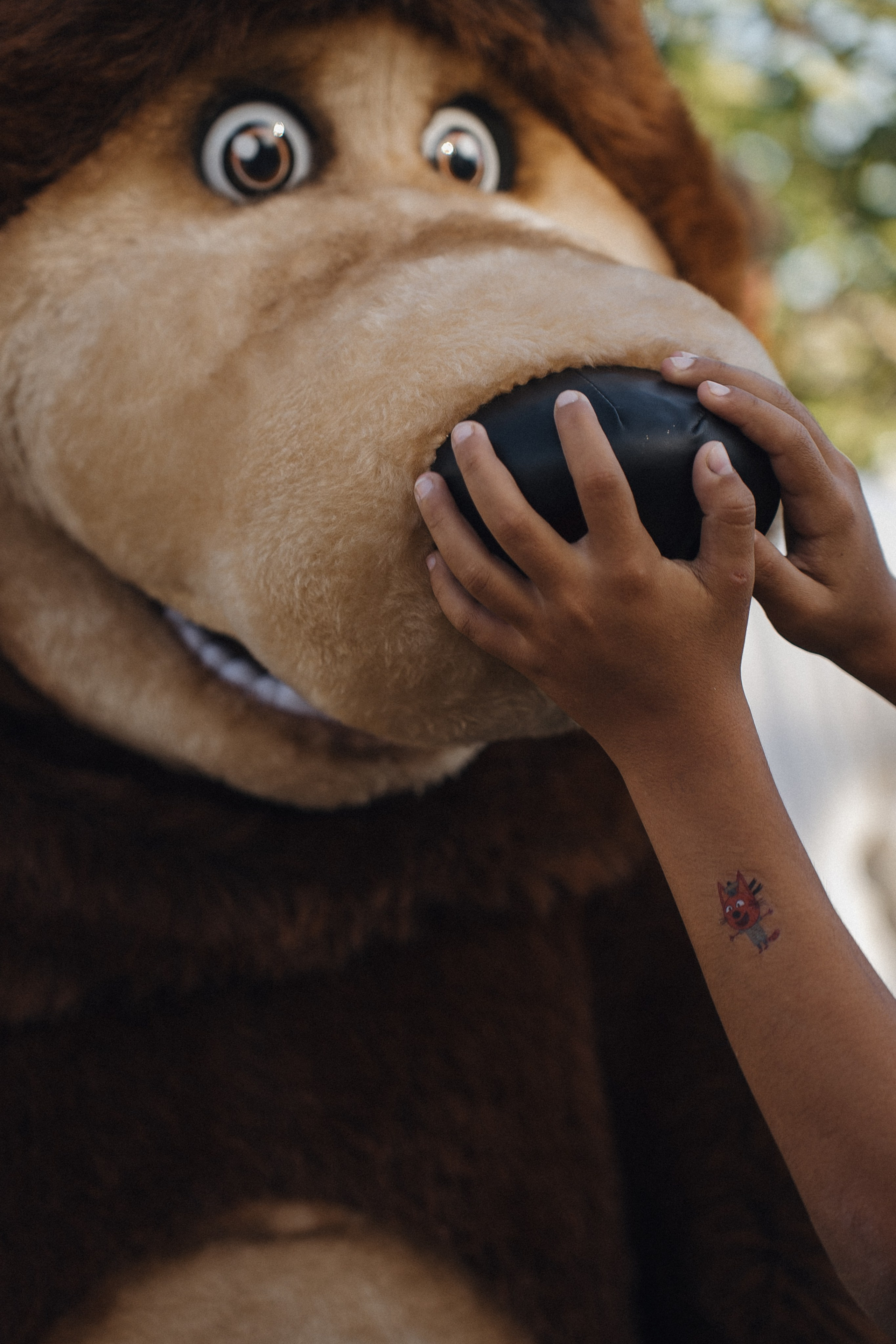 Гендер-пати. Свадебный фотограф в Краснодаре и Сочи Винидиктова Екатерина