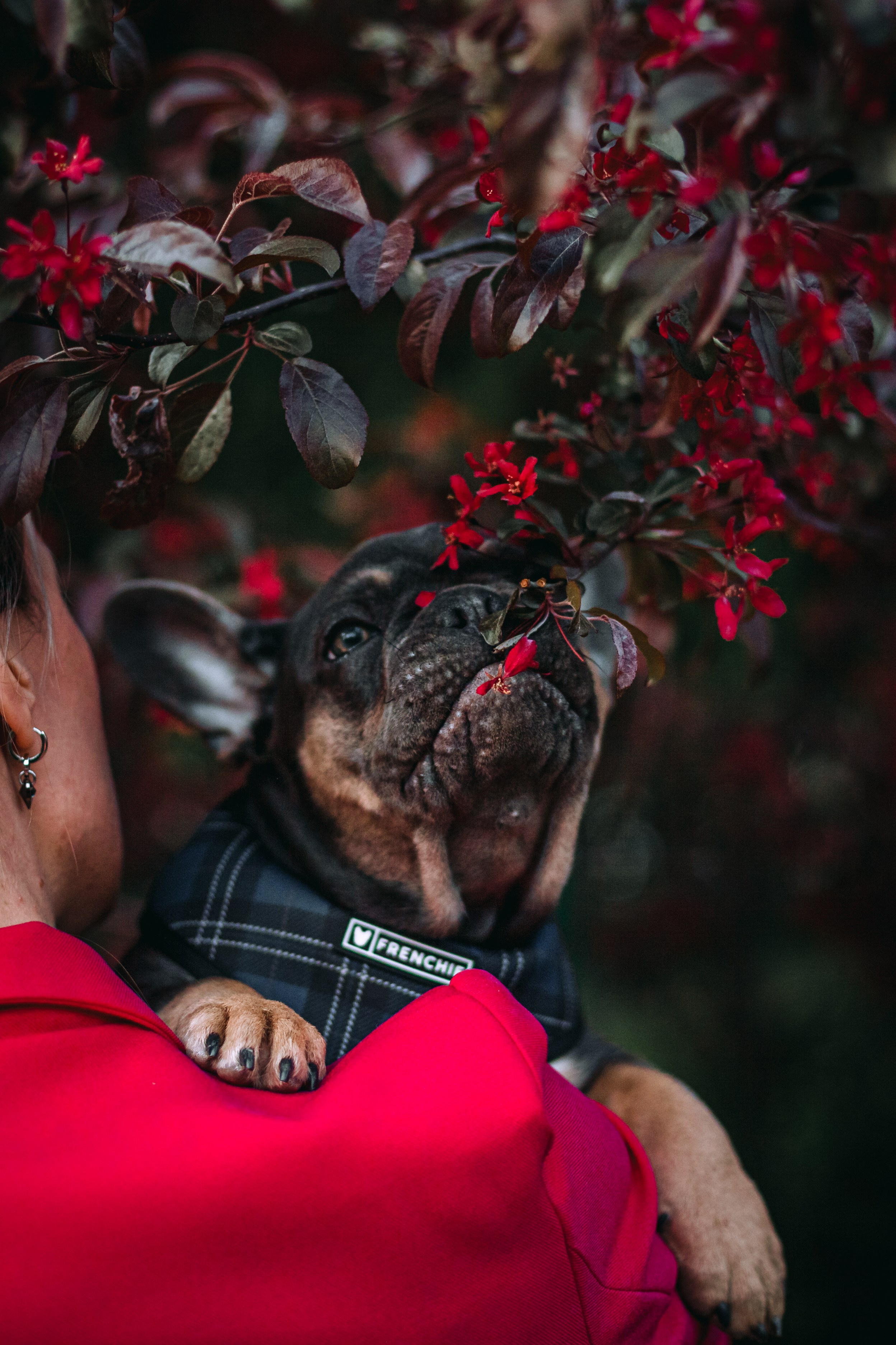 Даша и Мишель. Фотограф-анималист Татьяна Степанова