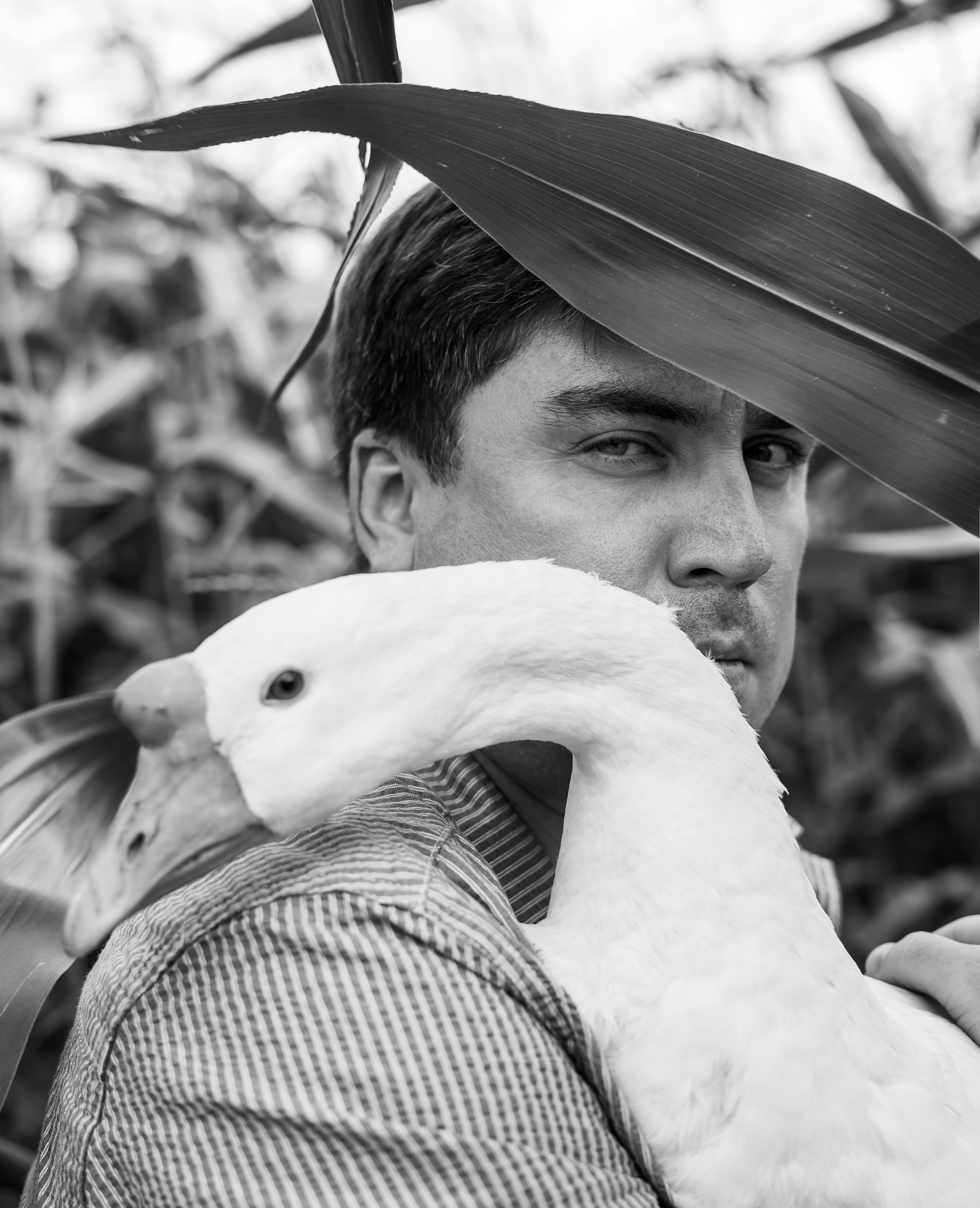 Мужской портрет. Главная