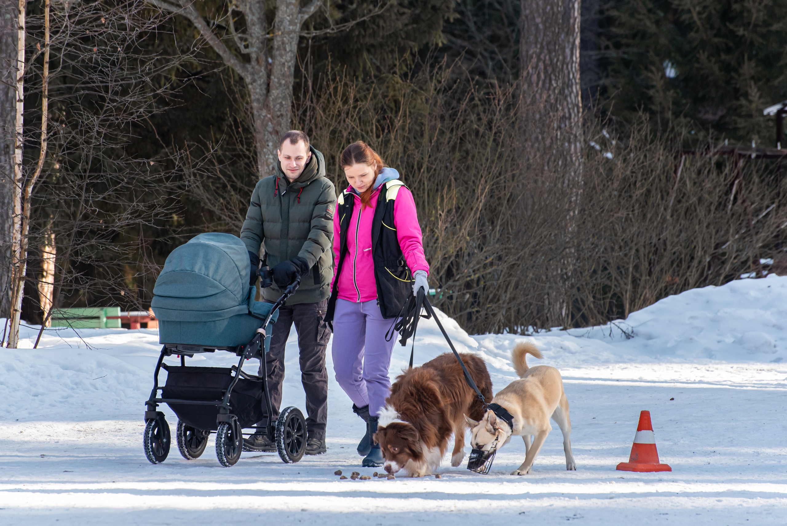 Фотосъёмка с собаками в Кинологическом лагере. Фотограф Макс Огурцов в Нижнем Новгороде