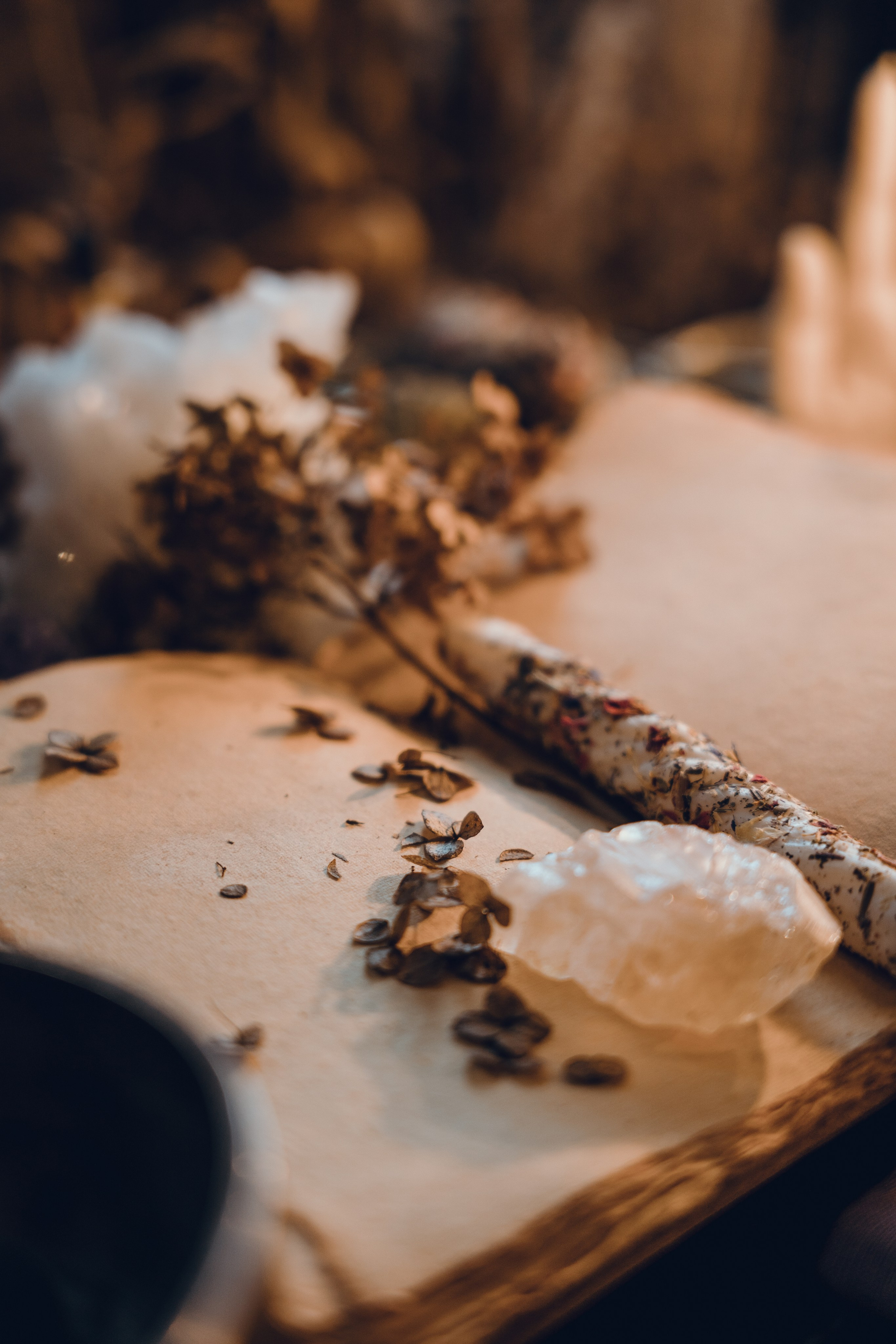 Алёна и Ксения. Фотограф в Москве Казакова Анна