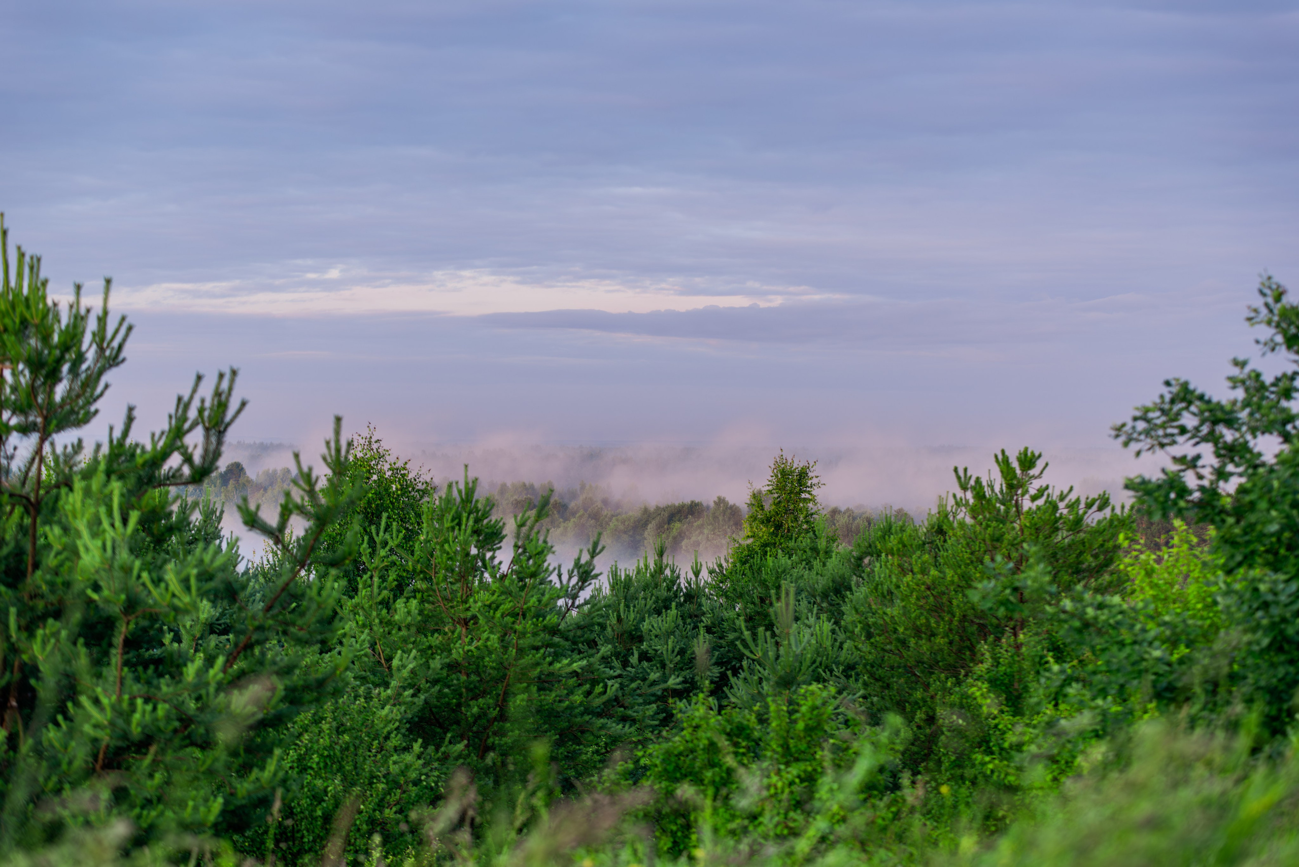 Туманное летнее утро. Фотограф в Ветлуге Сергей Белов (VETLUGA B.S.)